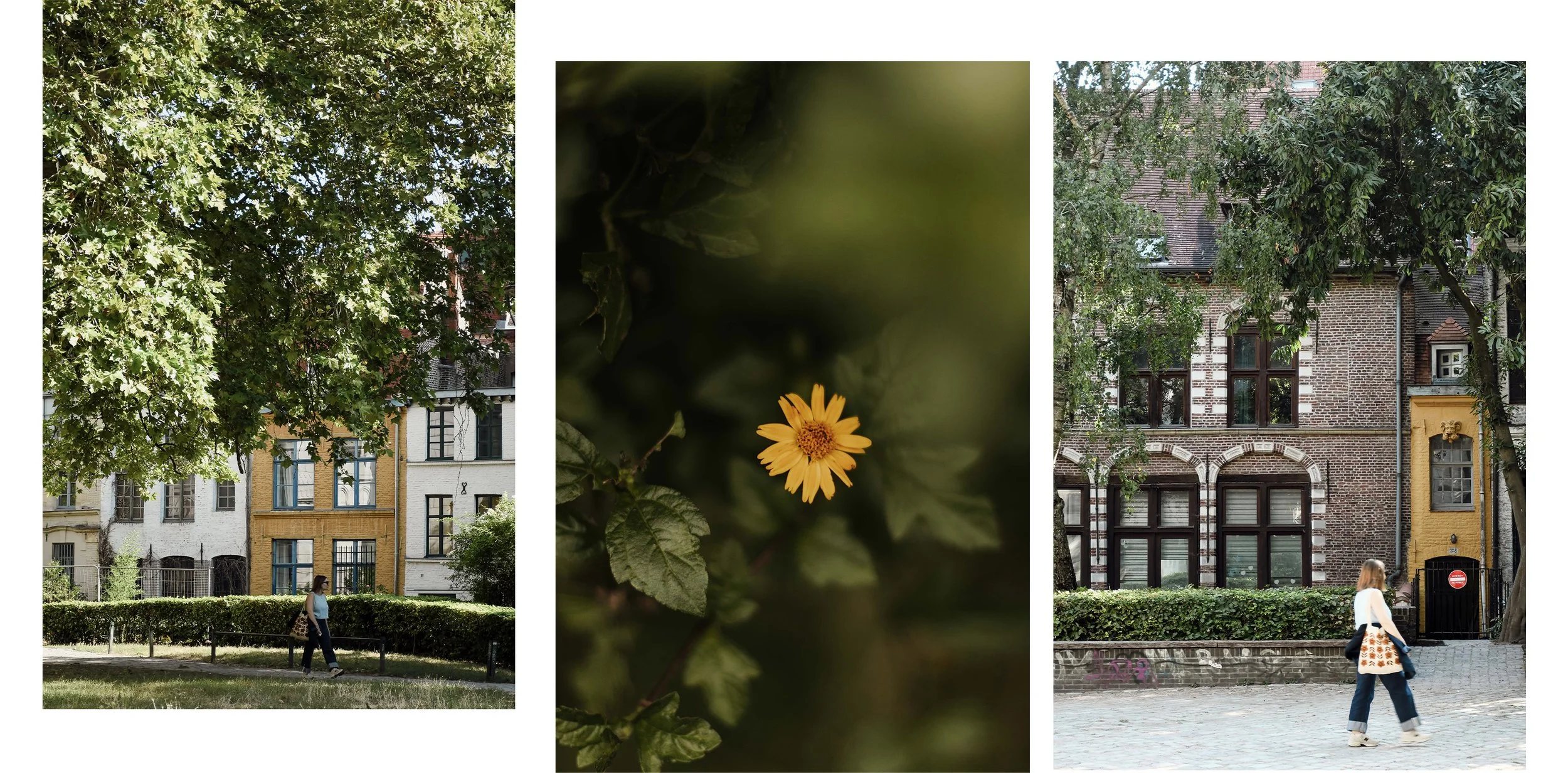 quartier-nature-lille-triptyque-photos.jpg