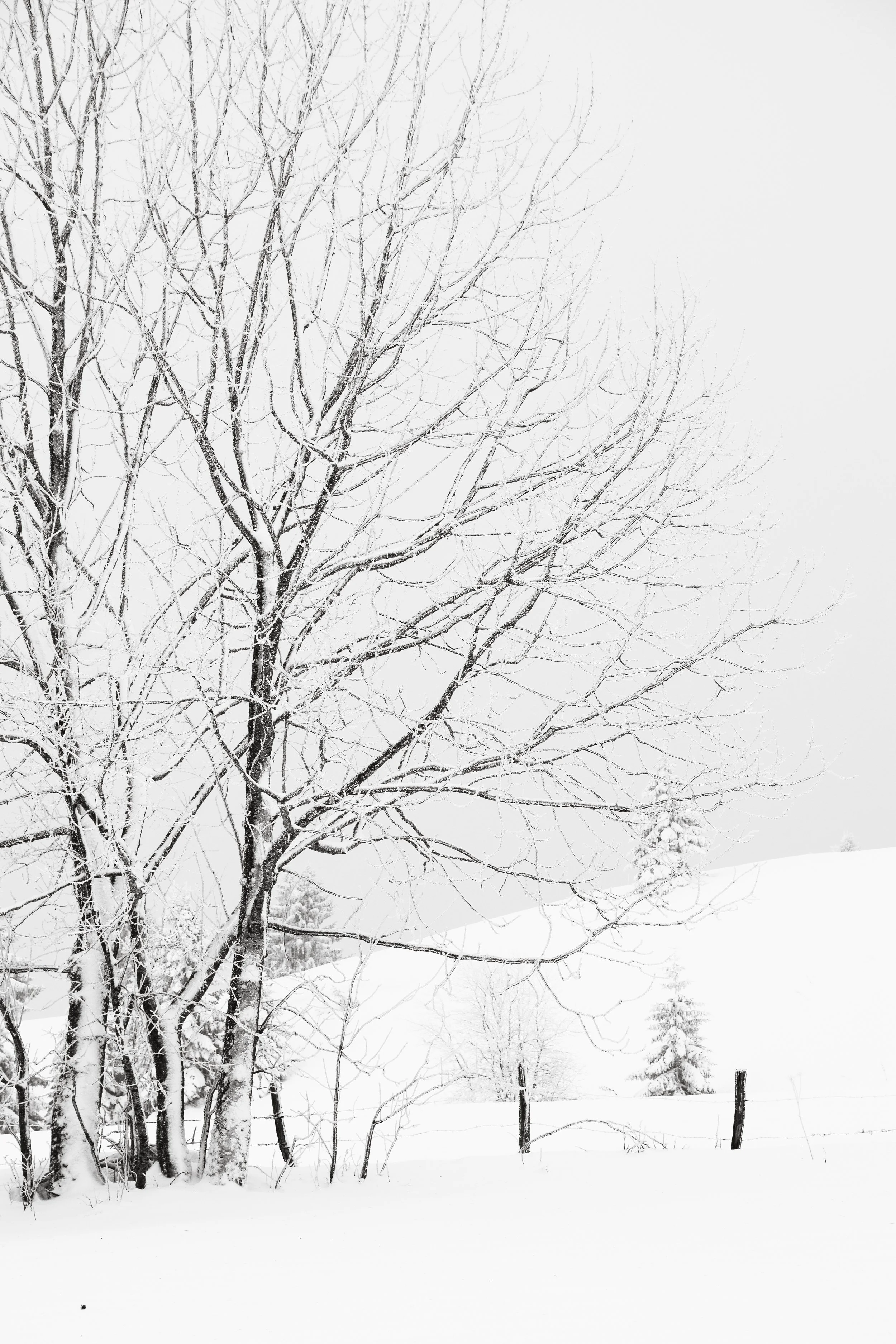 les-fourgs-neige-rando-sandrine-baverel-photo.jpg