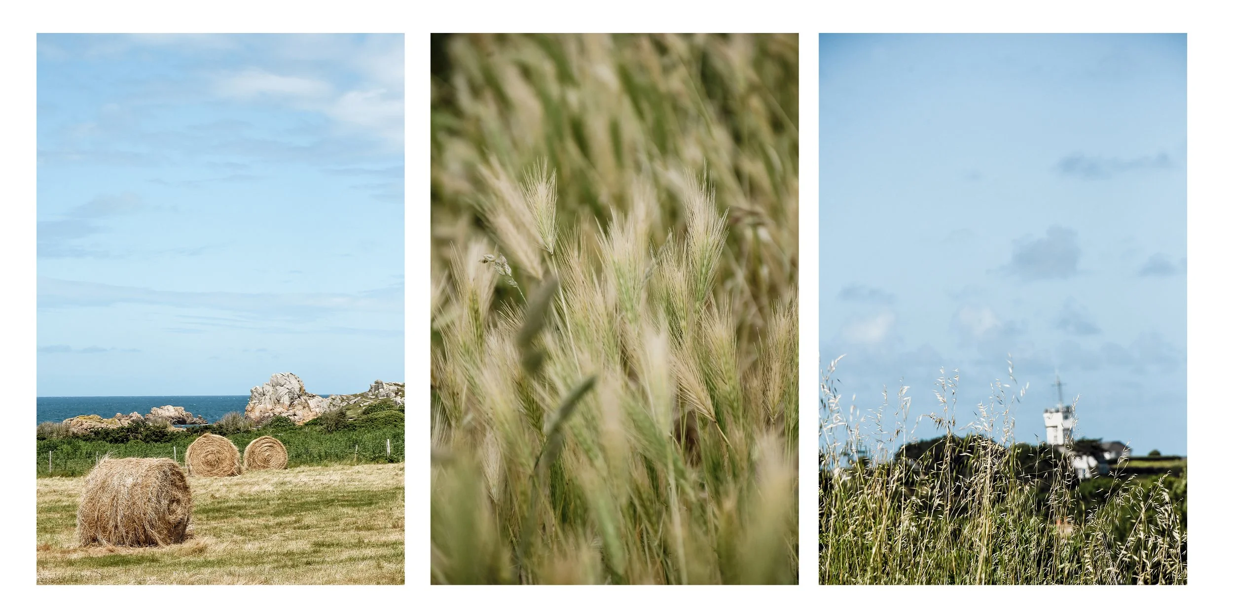 ile-de-brehat-champ-bottes-de-foin.jpg