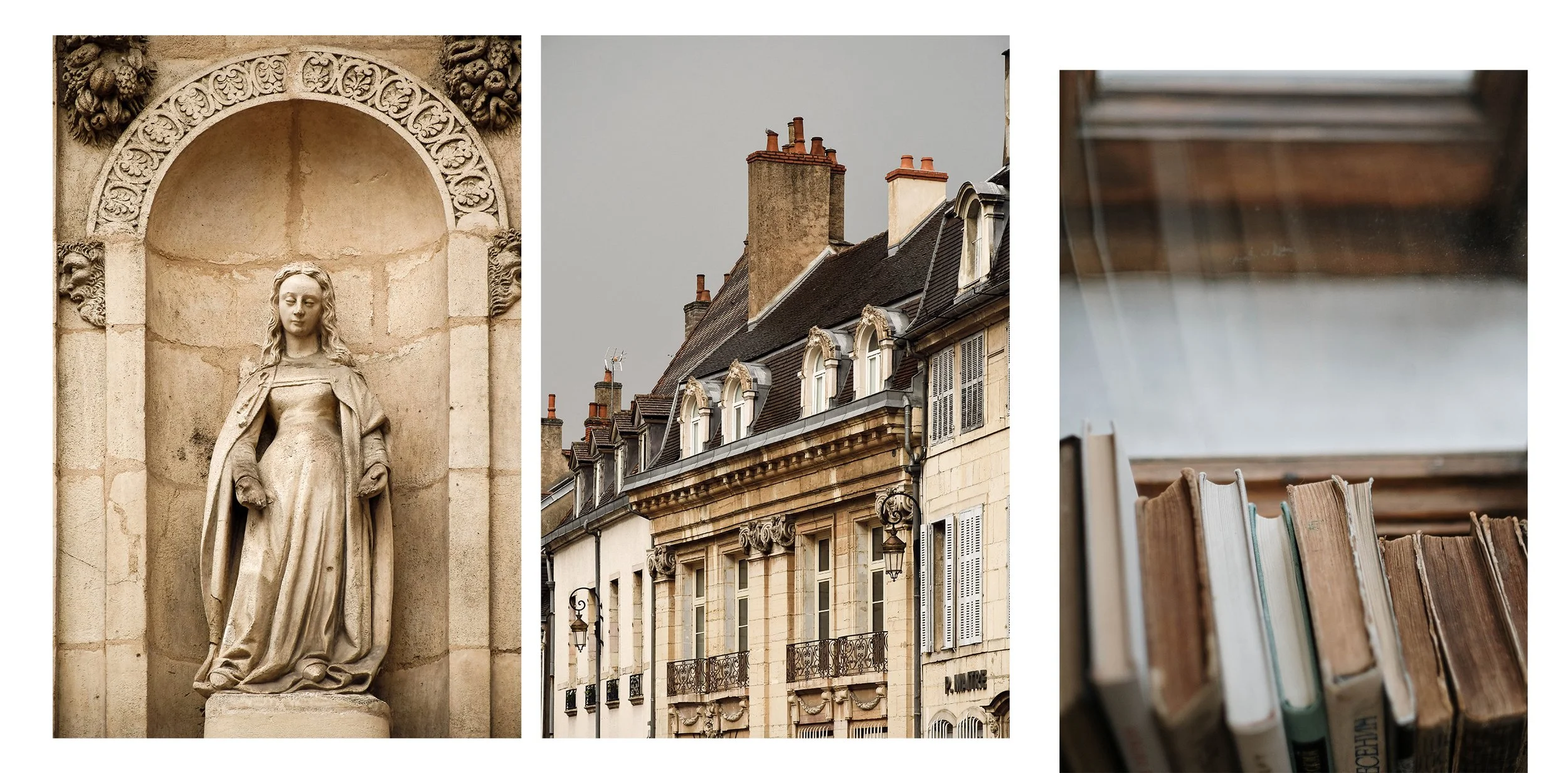 dijon-patrimoine-et-livres.jpg
