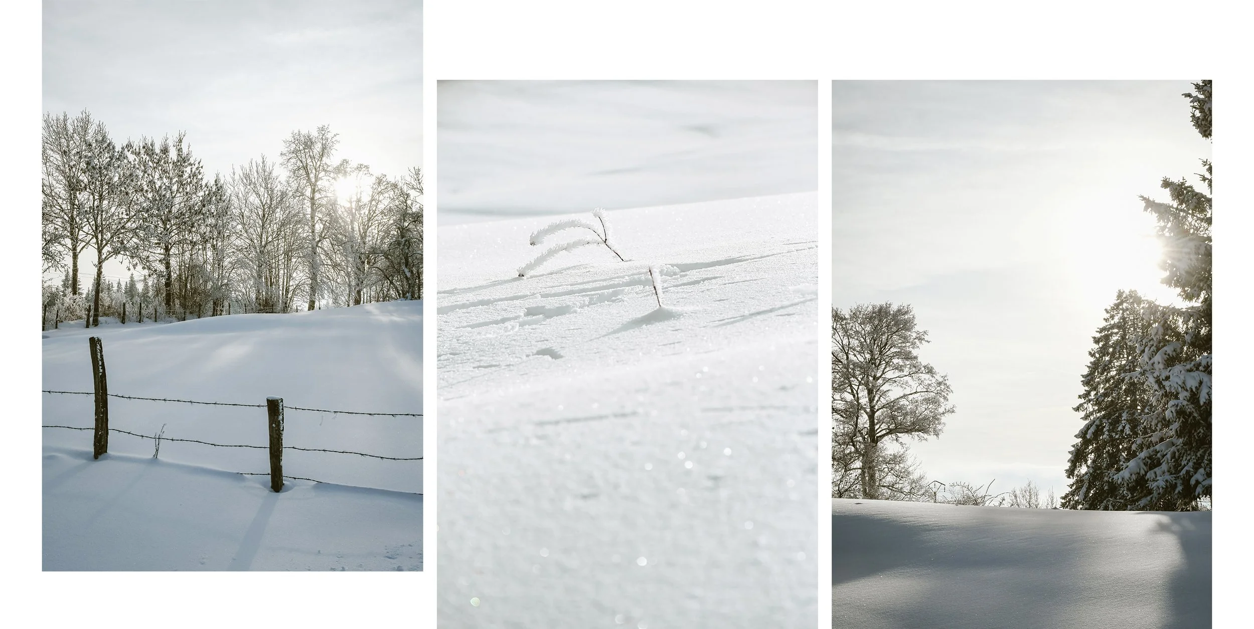 sandrine-baverel-triptyques-photo-neige.jpg