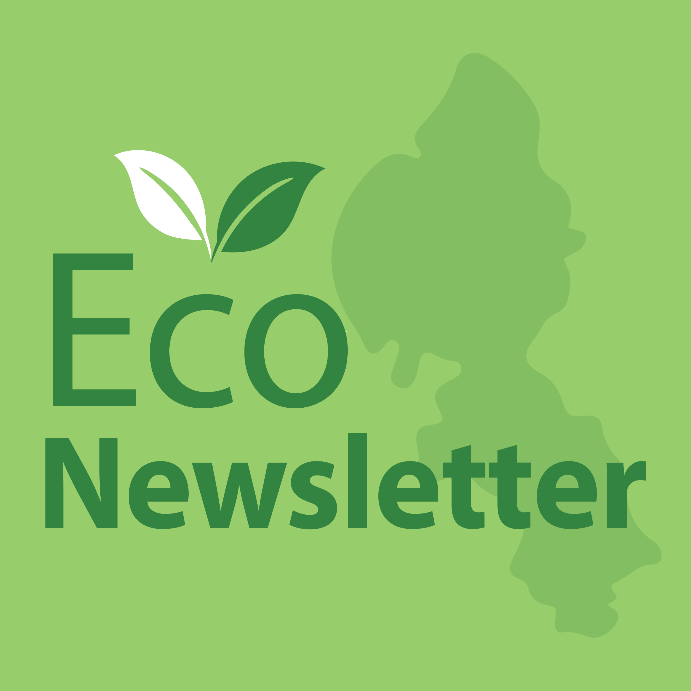URC North Western Synod Eco Newsletter - January 2026