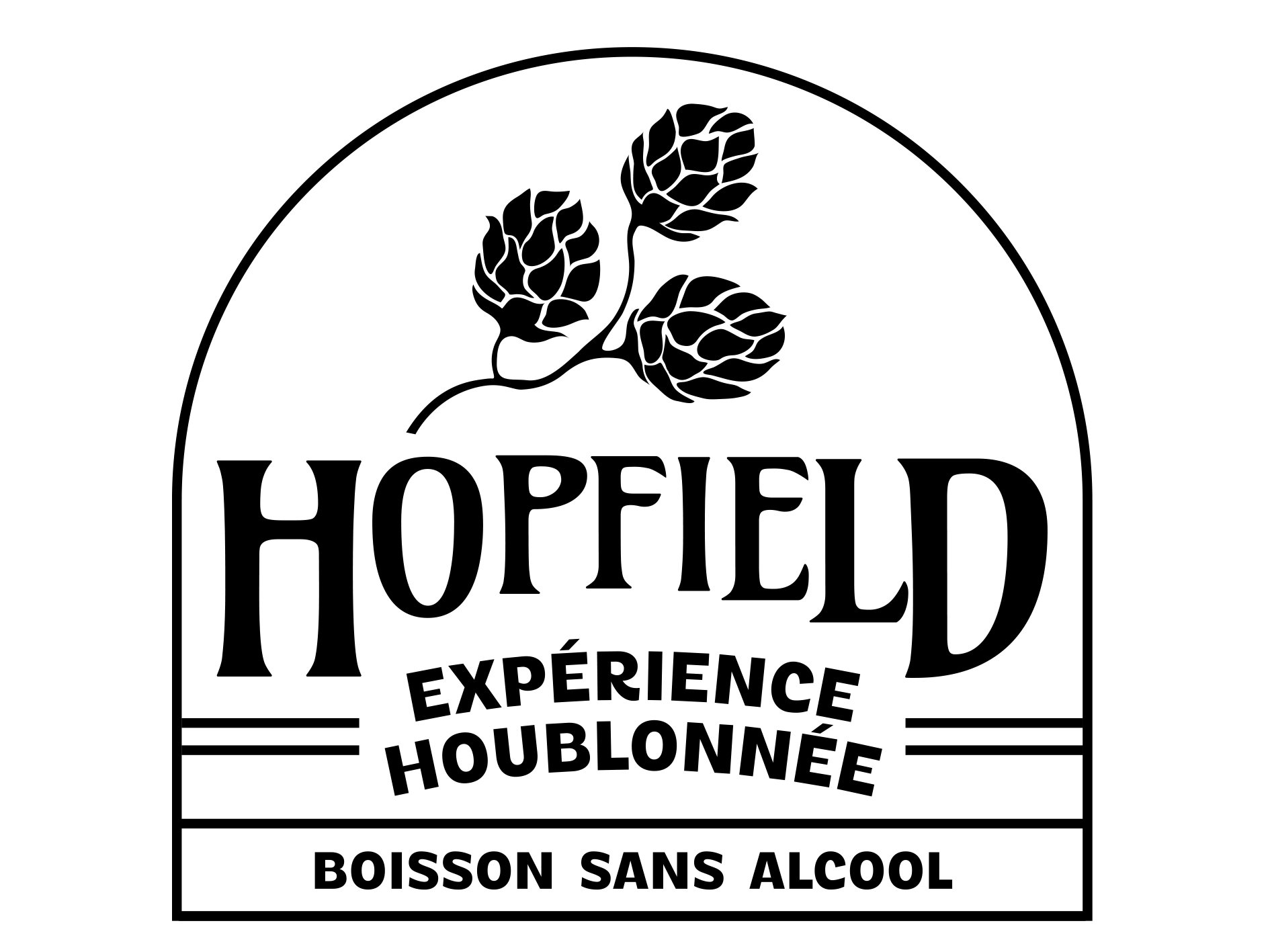 Logo Hopfield