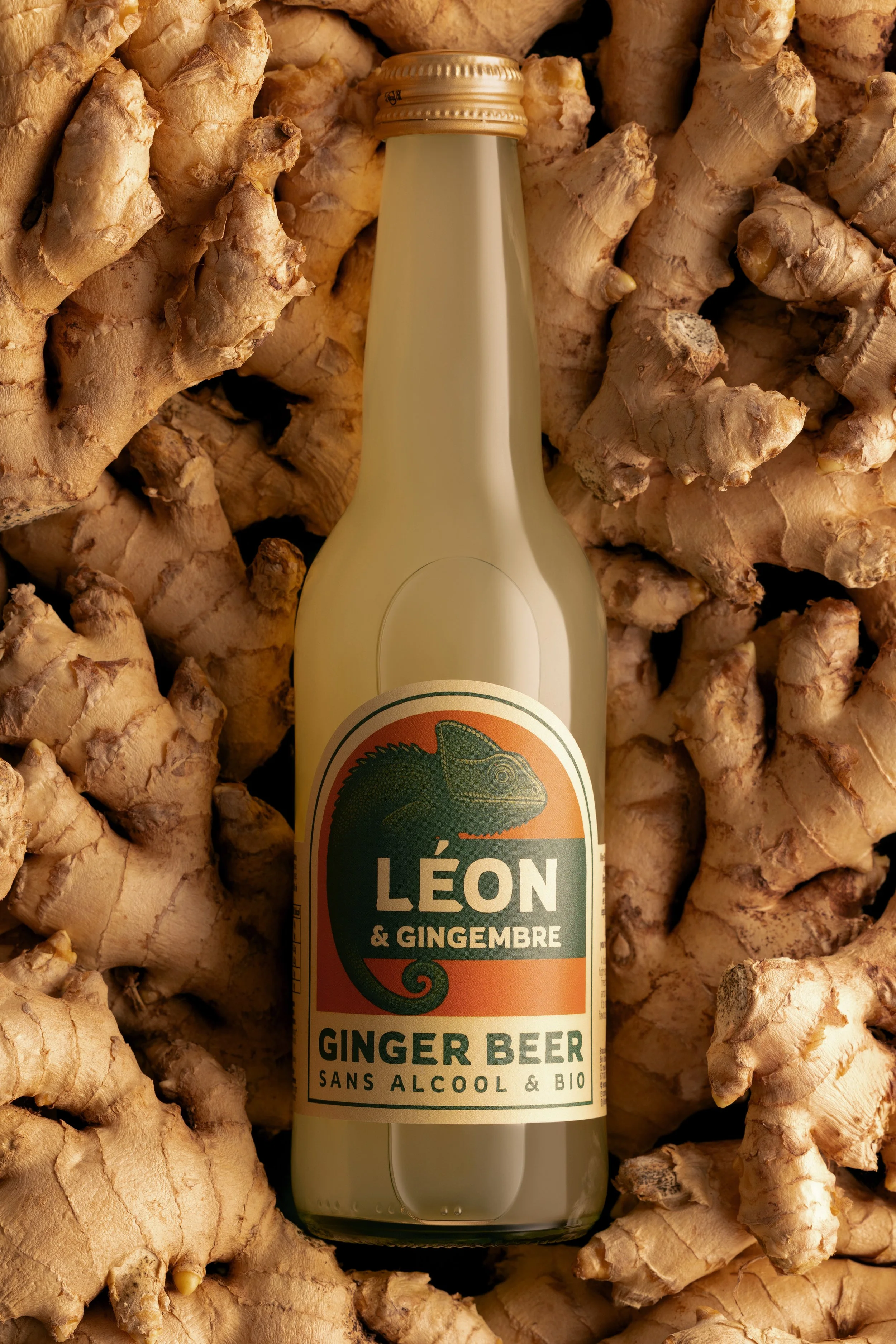 Photographie bouteille Gingerbeer