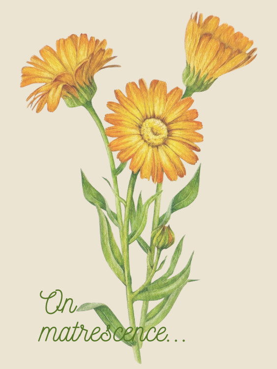 Matrescence Digital Affirmation Cards