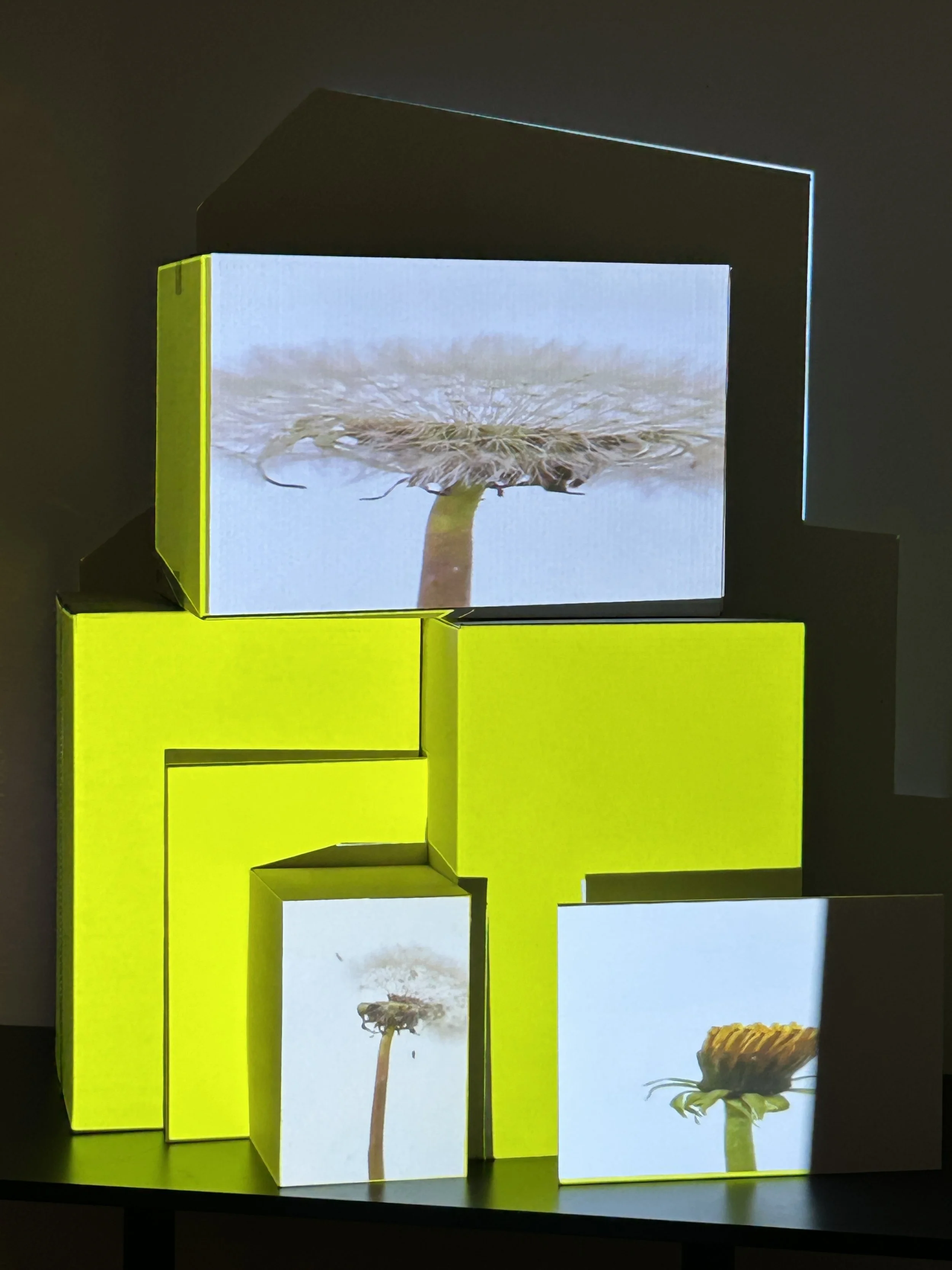       
  
     BREDDEKULTUR – innovasjon innen kulturfeltet!     MMW er et arkitektkontor som utover vanlig arkitektpraksis jobber i krysningen mellom arkitektur, kunst og kultur for å fremme kulturelt bærekraftige byer.   Etter sparring og veilednin