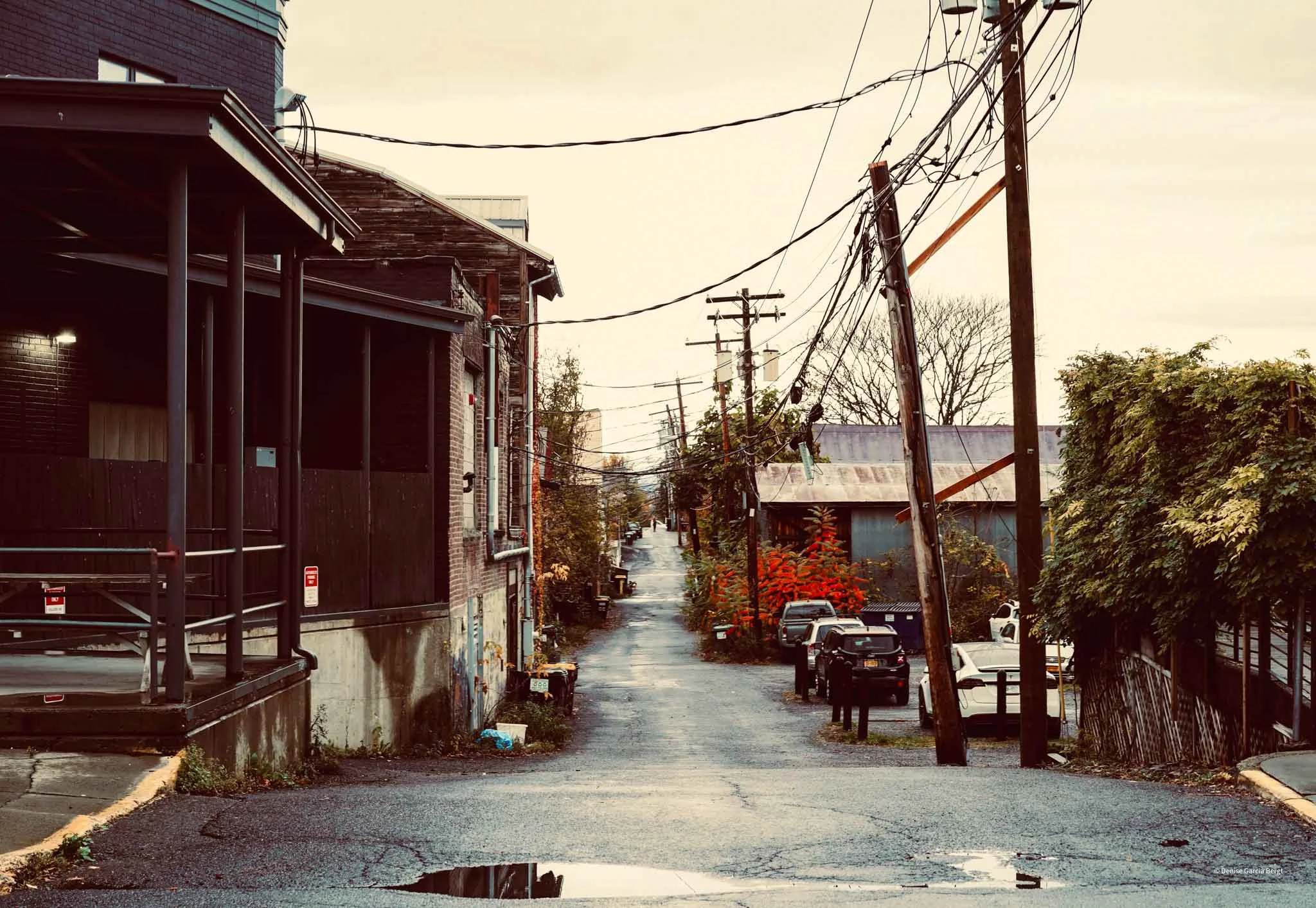 A narrow urban alleyway lined with parked cars and utility poles with wires, surrounded by buildings and trees with autumn foliage.