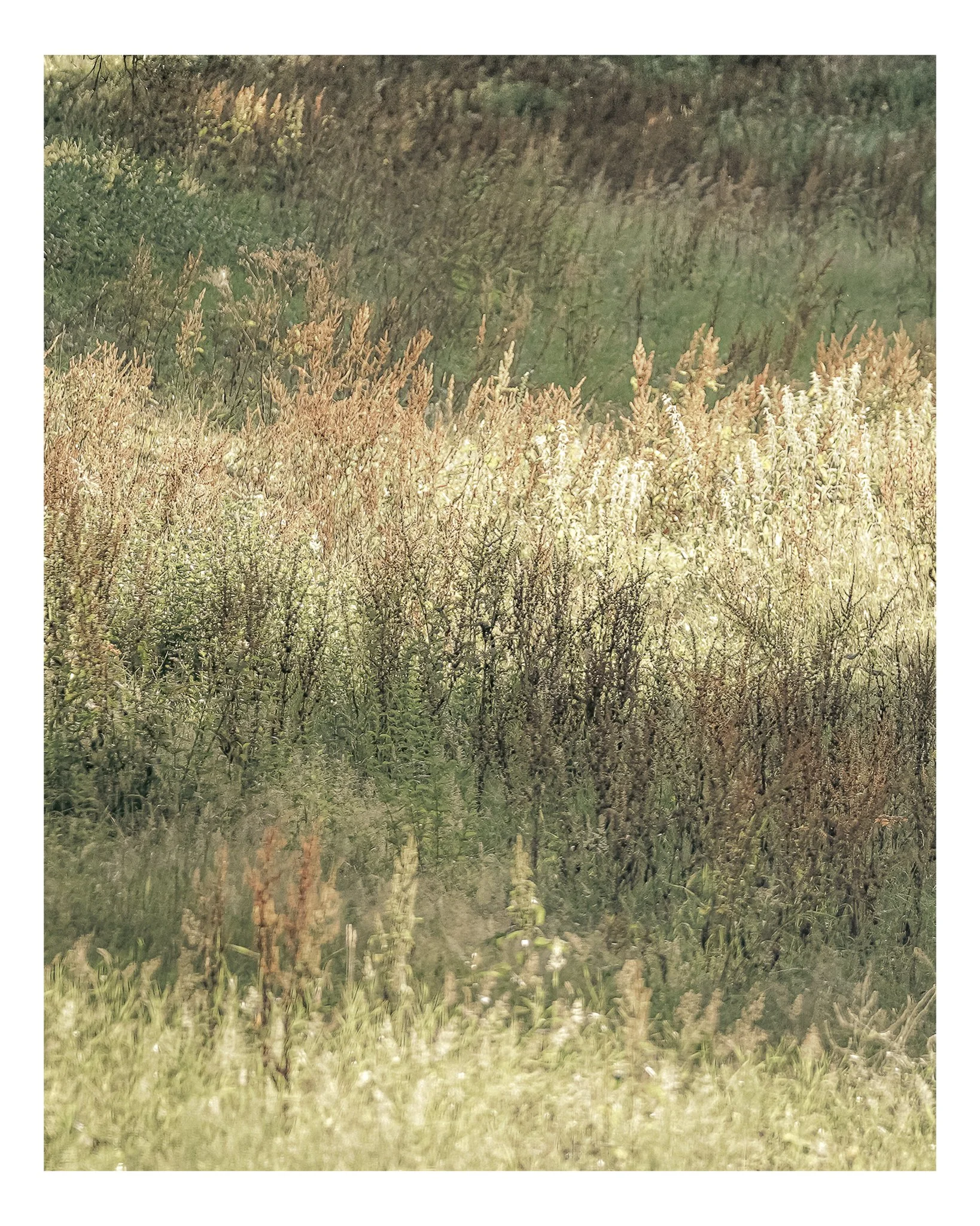 abstracts-22.jpg