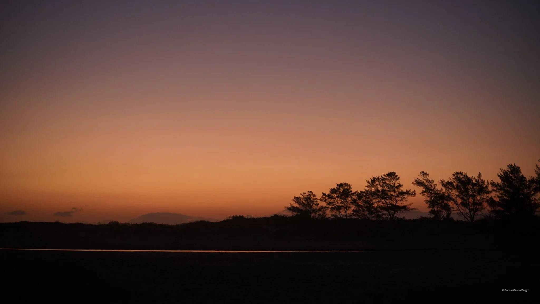 A sunset or sunrise with a colorful sky transitioning from purple to orange, silhouetted trees in the foreground, and faint clouds near the horizon.