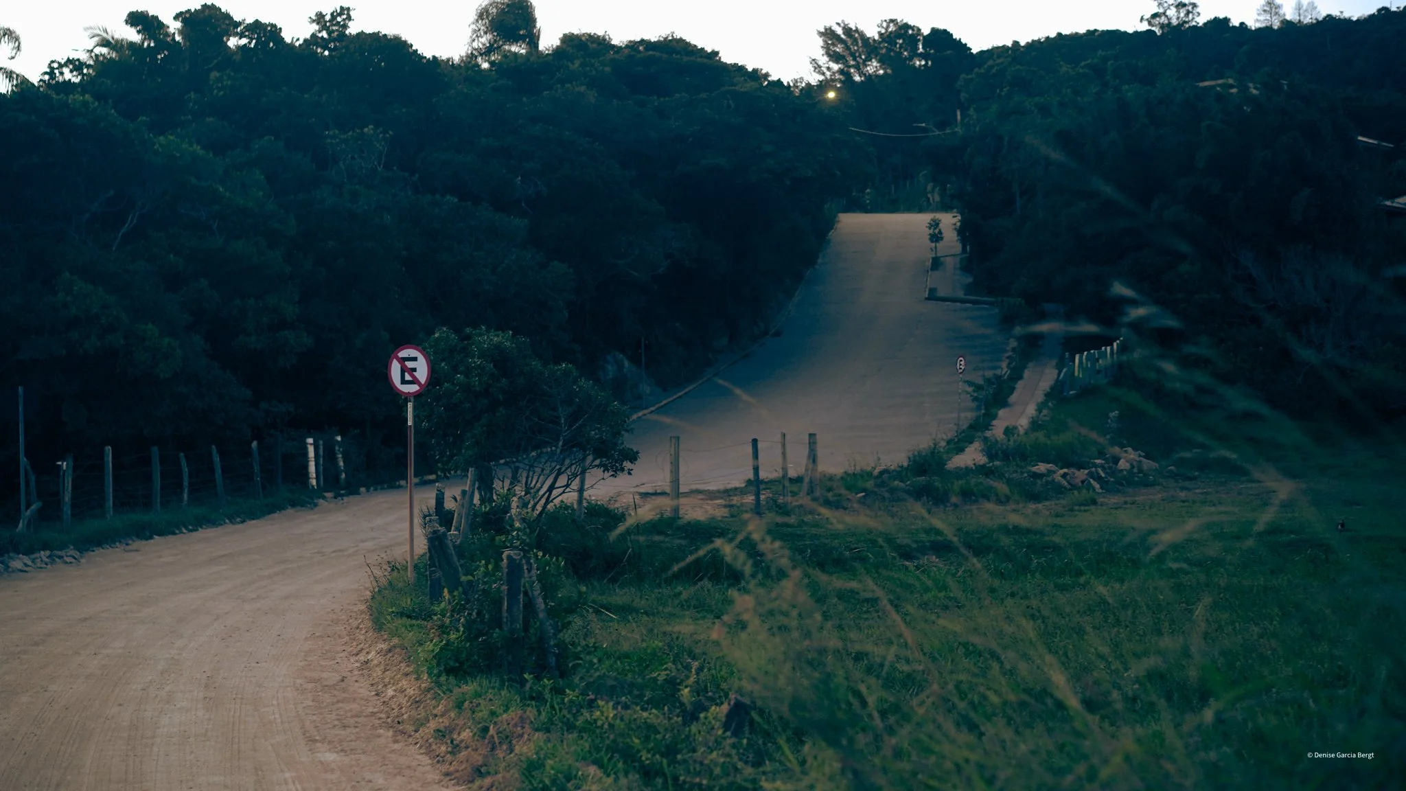 A winding dirt road surrounded by greenery and trees, with a no-parking sign and wooden fences along the side.