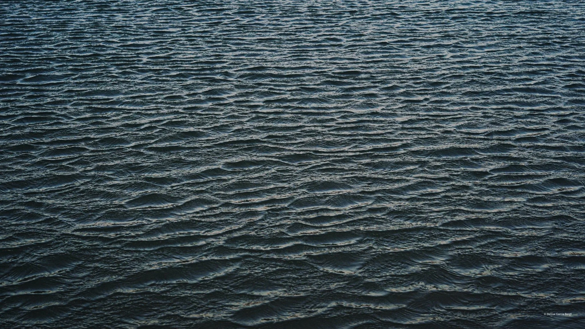 Calm dark ocean water with gentle ripples.
