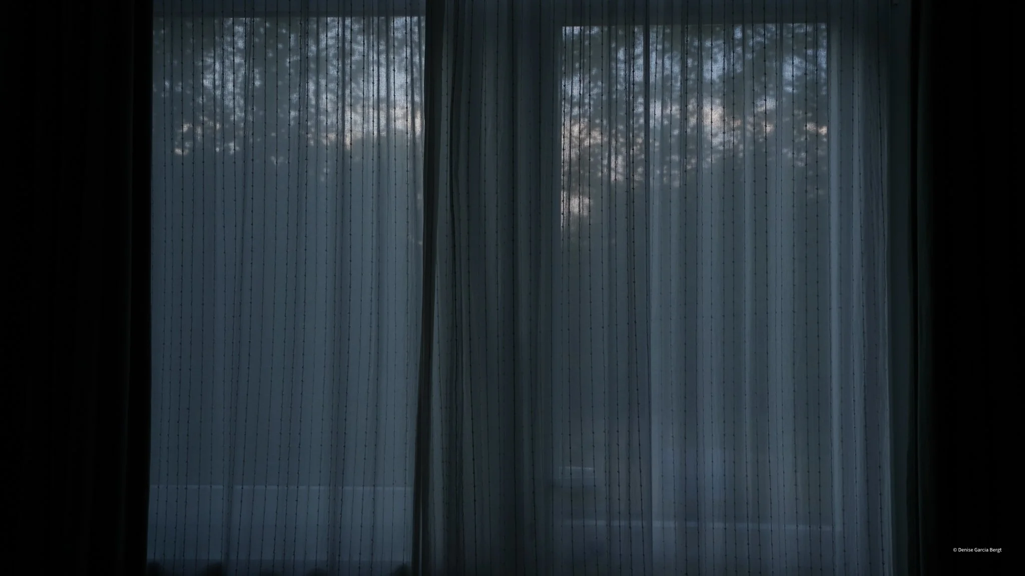 Darkened window with sheer curtains, faint outdoor scene of trees visible through the curtain fabric in low light