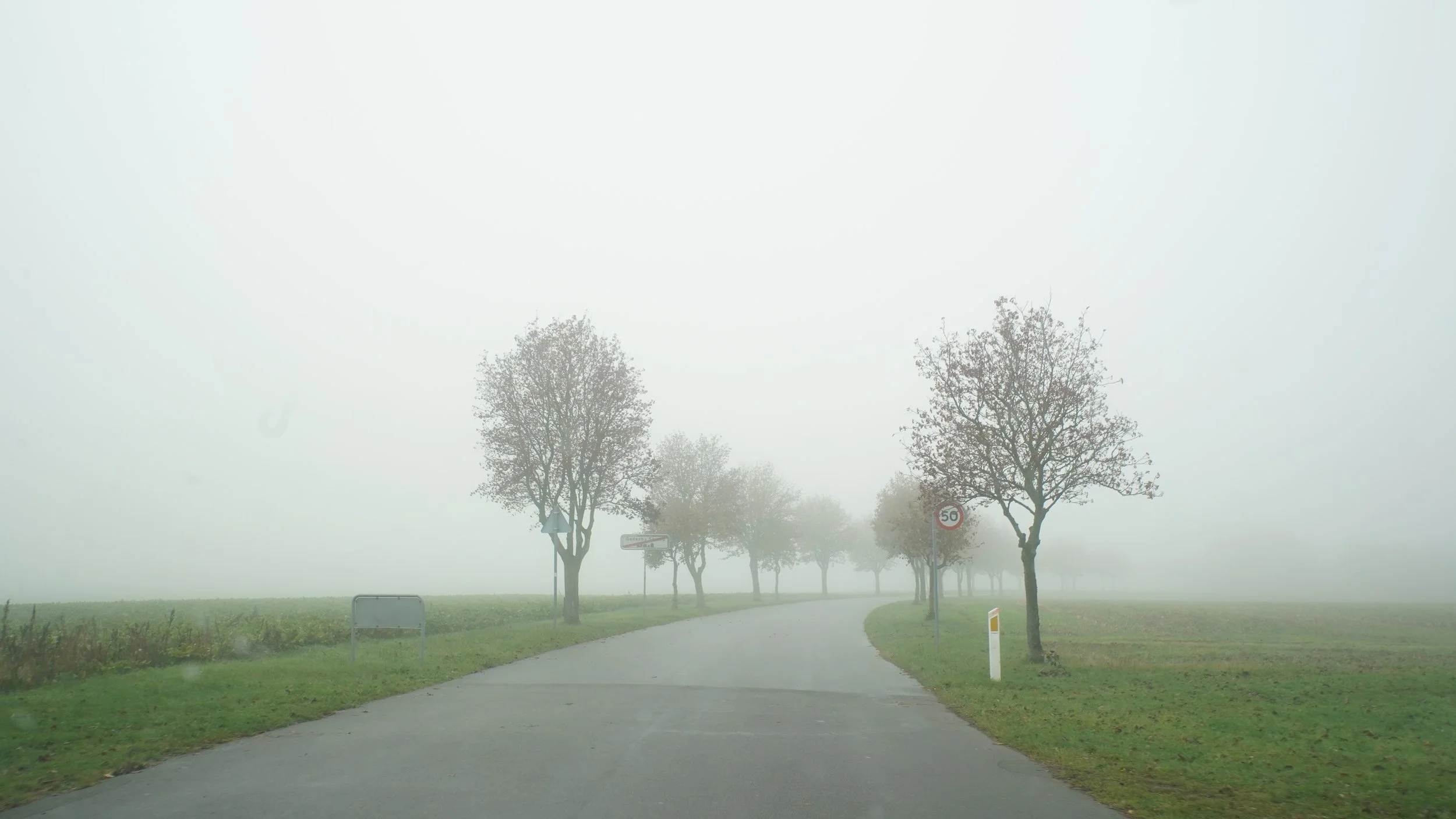 A foggy road lined with leafless trees and traffic signs on a misty day.