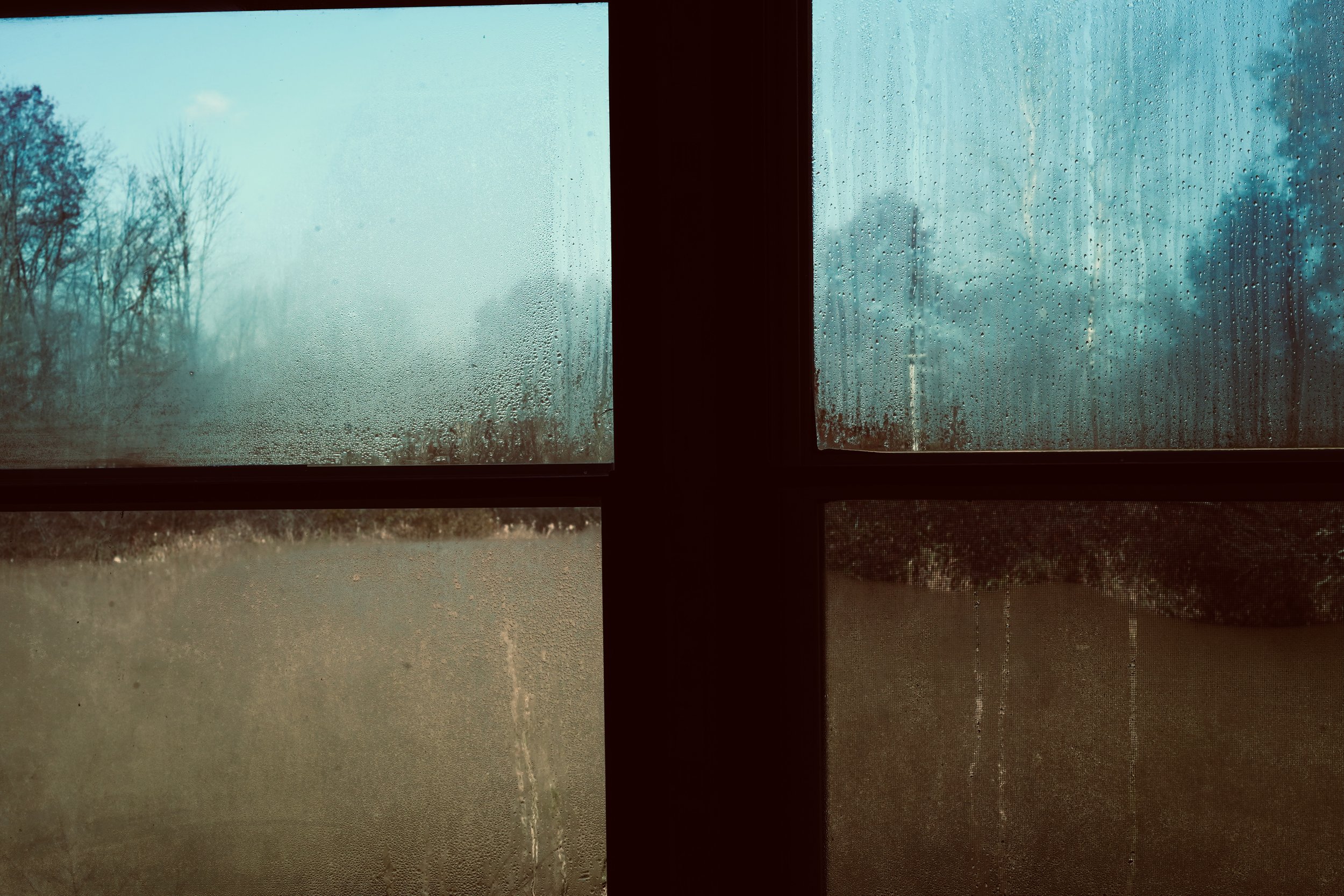 Rain-covered window with a landscape of trees and a cloudy sky visible outside.