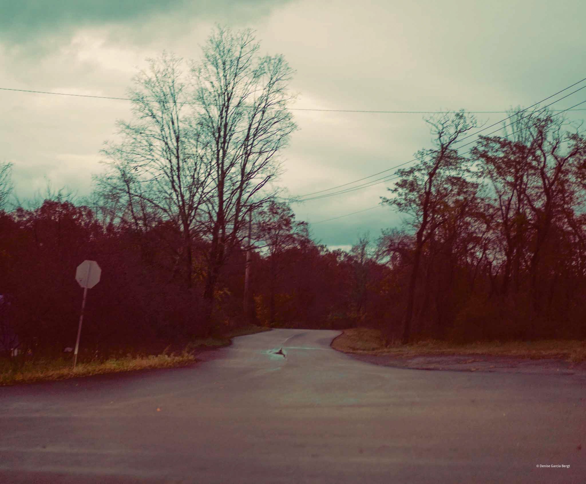 A winding road with trees on both sides, under a cloudy sky, with a stop sign on the left side of the road.