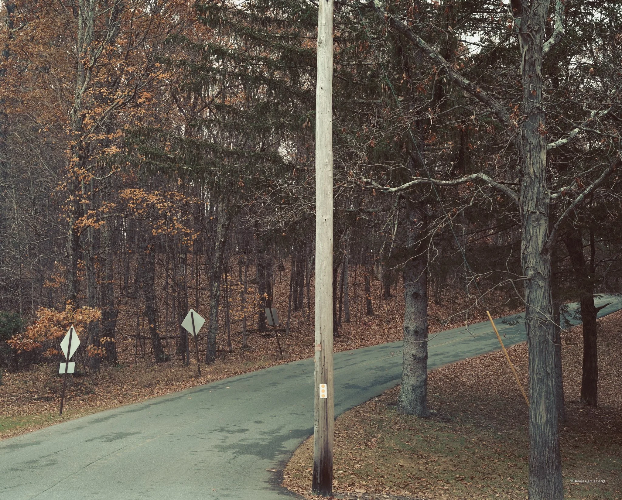 A winding road flanked by leafless trees and two traffic signs with white backgrounds and black borders, set in a wooded area during autumn.