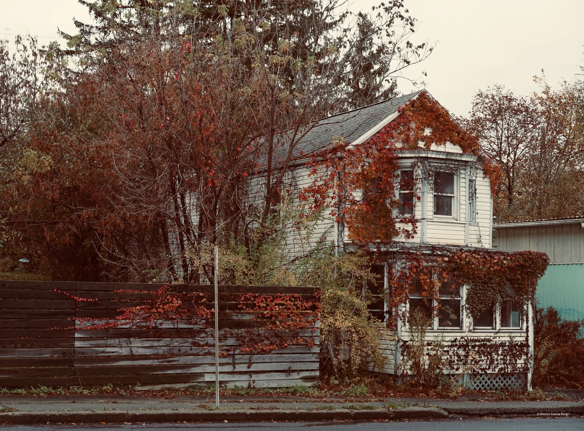 An old white house partly covered with red and orange autumn leaves. The house has a two-story structure, with multiple windows and a small porch. A wooden fence and a street in the foreground.