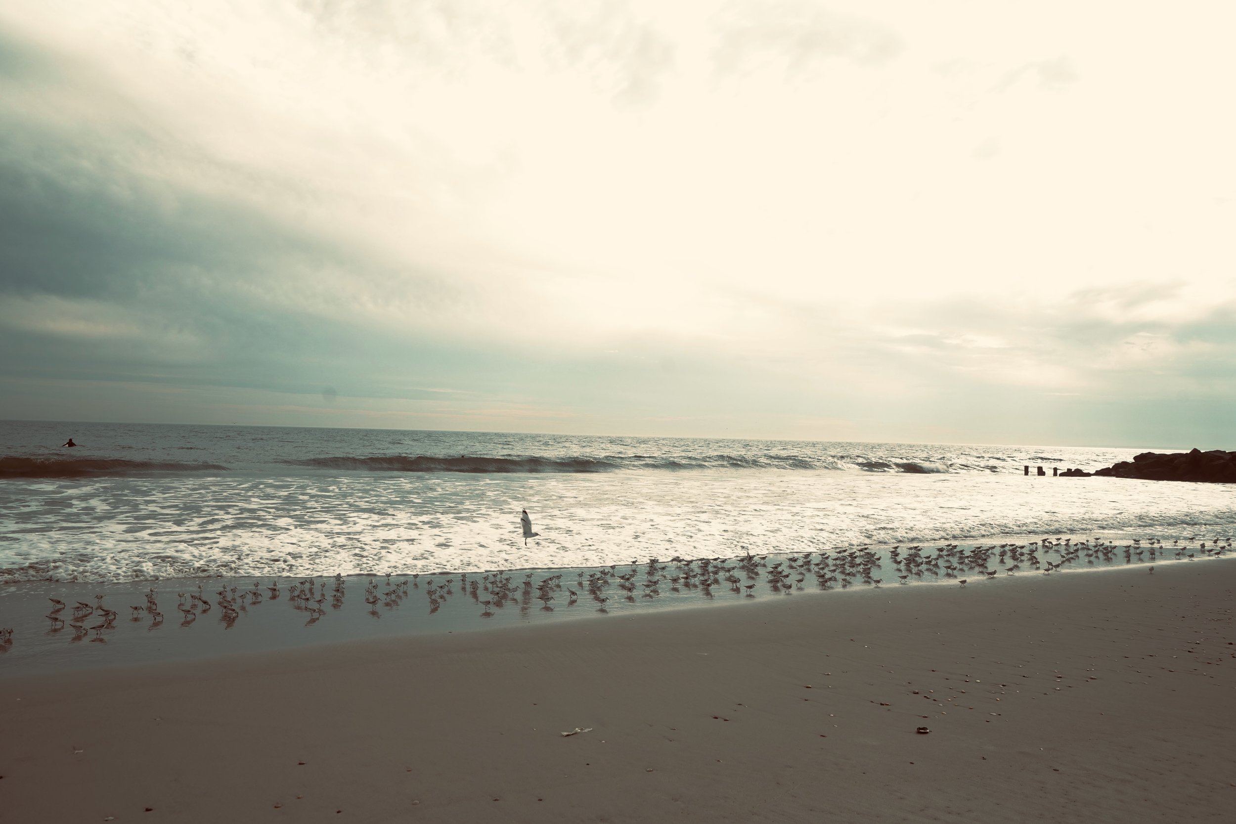 Beach with seagulls standing on the sand near a small water pool, ocean waves, and cloudy sky with sunlight.
