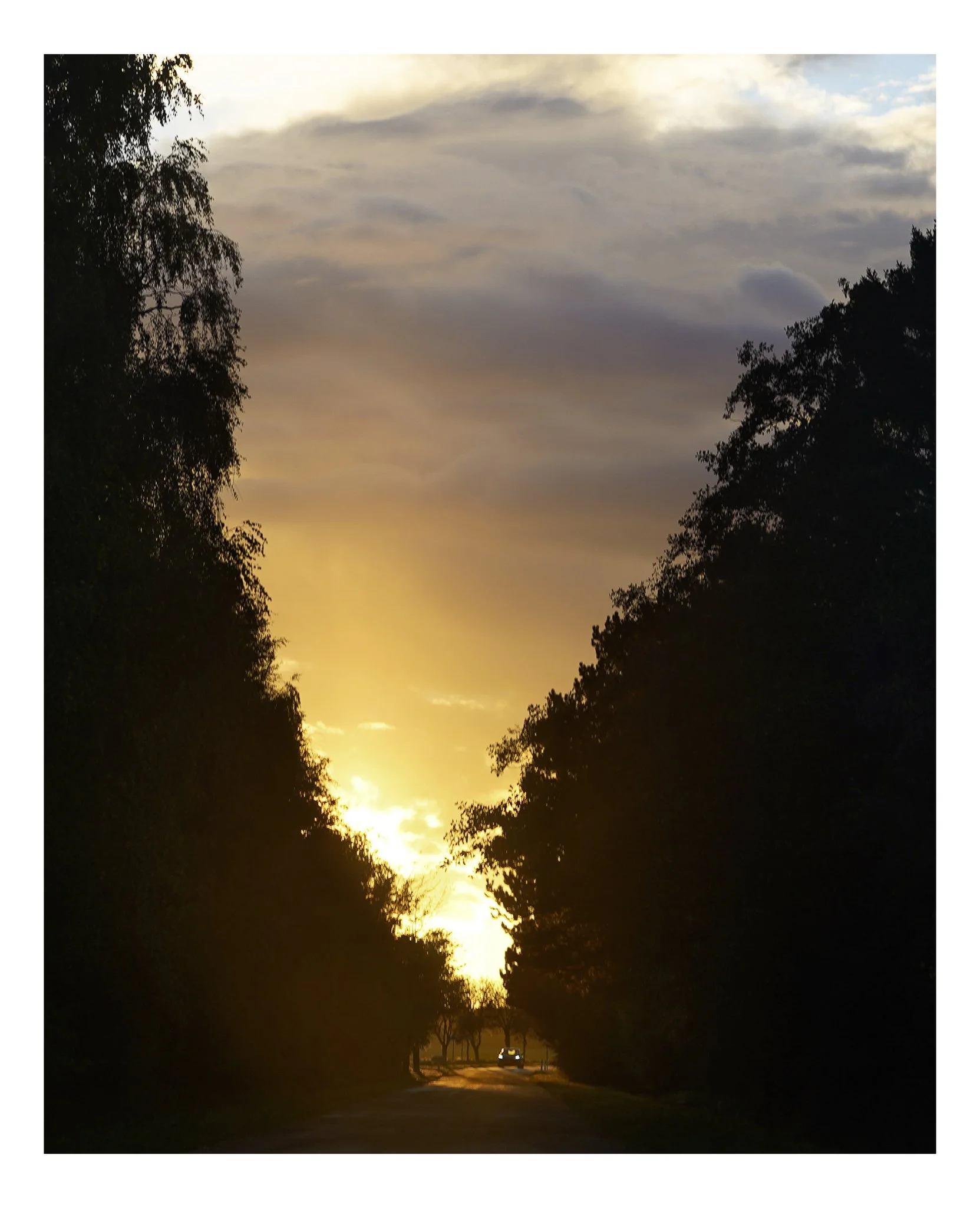 ROAD DK 2023-2.jpg