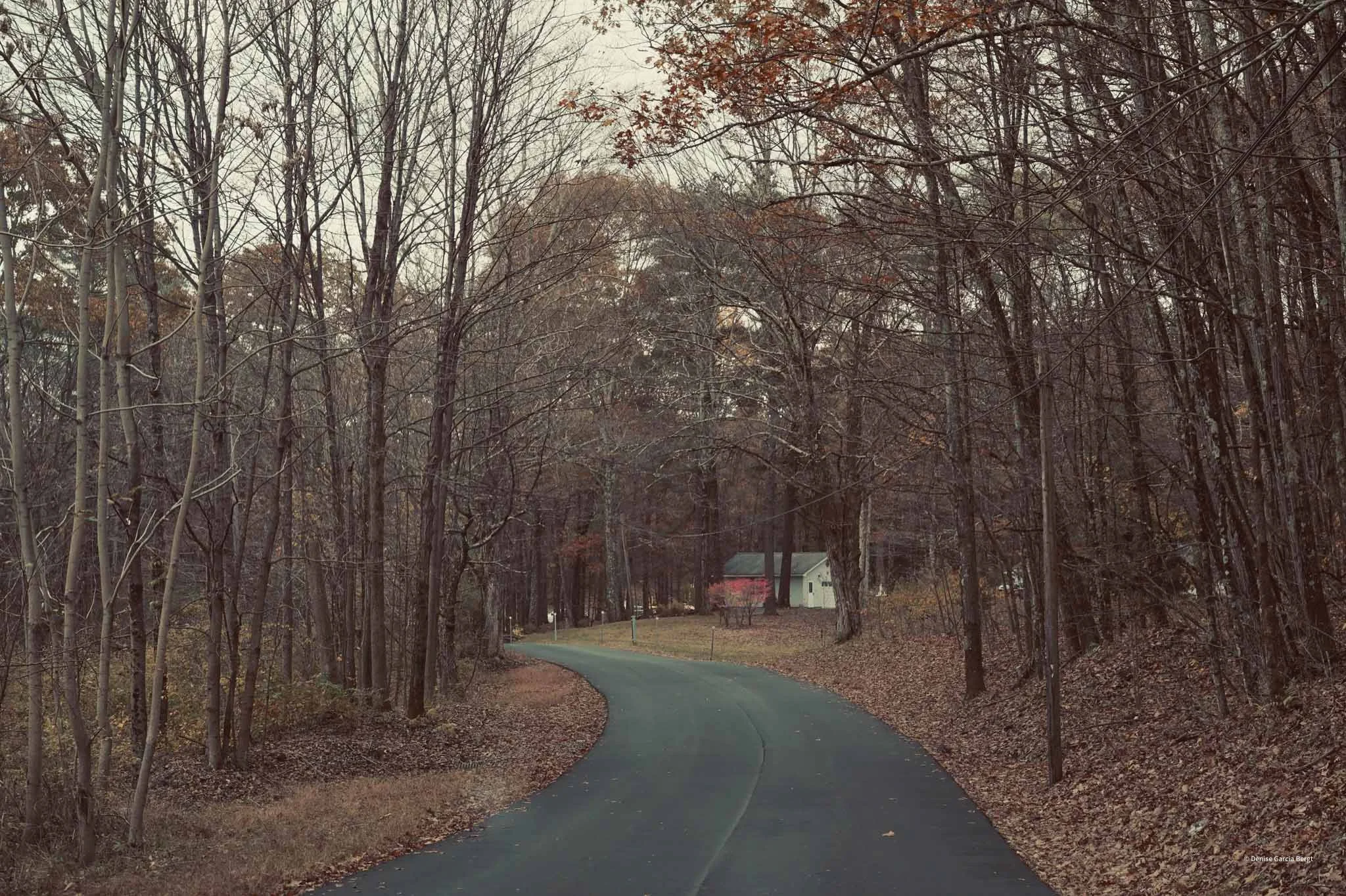 A winding paved road running through a leafless woods in autumn with a white house in the distance.