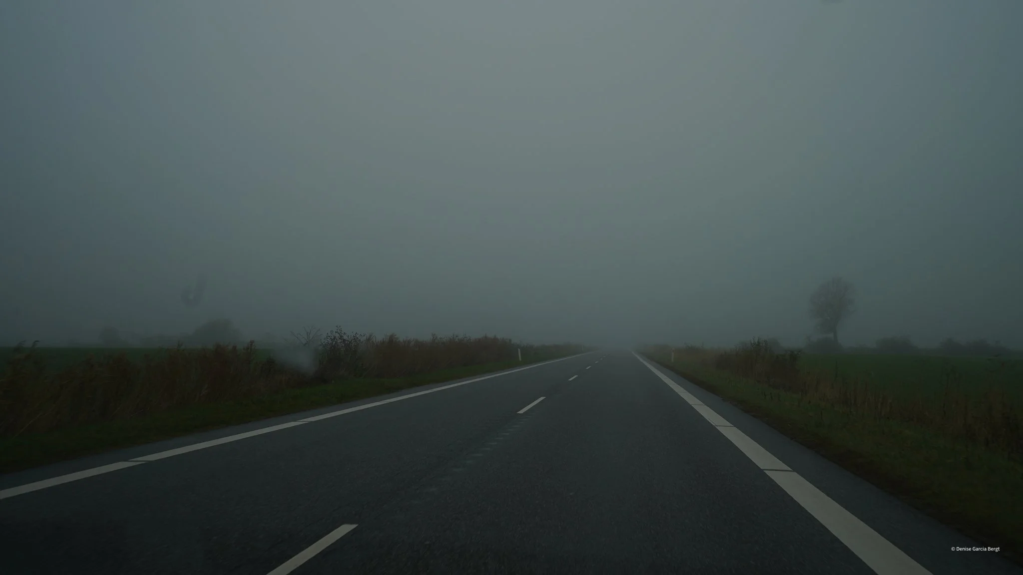 A two-lane road extending into the distance under a foggy, overcast sky, with grass and bushes on either side and a lone tree visible in the background.
