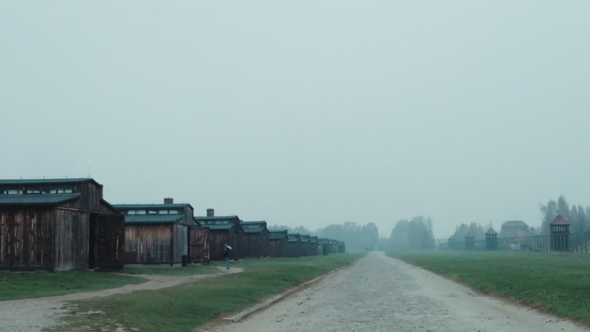 SELECTS DENISE AUSCHWITZ.00_00_55_24.Still002.jpg
