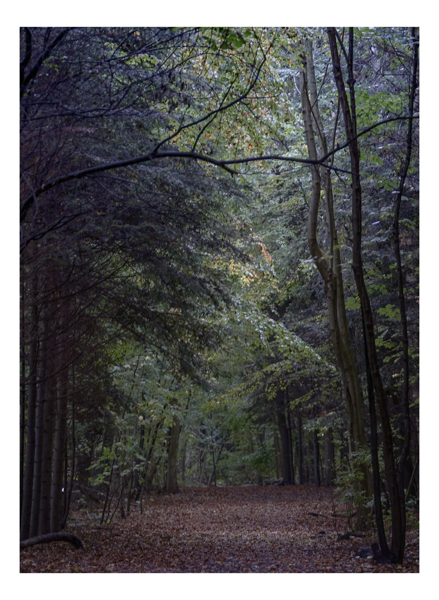 ROAD DK 2023-6.jpg