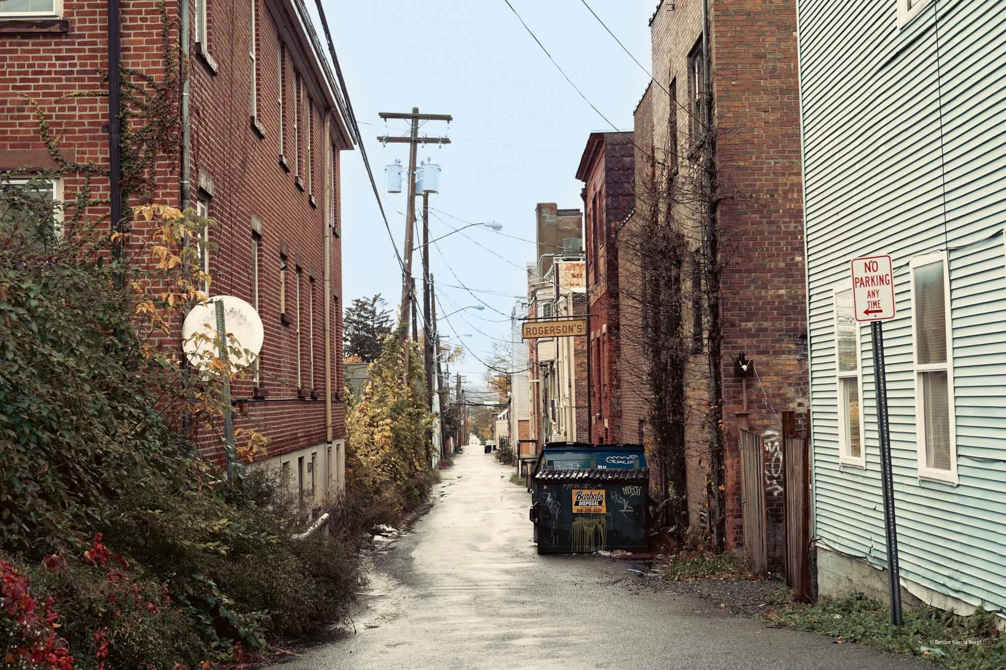Alleyway between brick and siding buildings with garbage bin, power lines, and no parking sign.