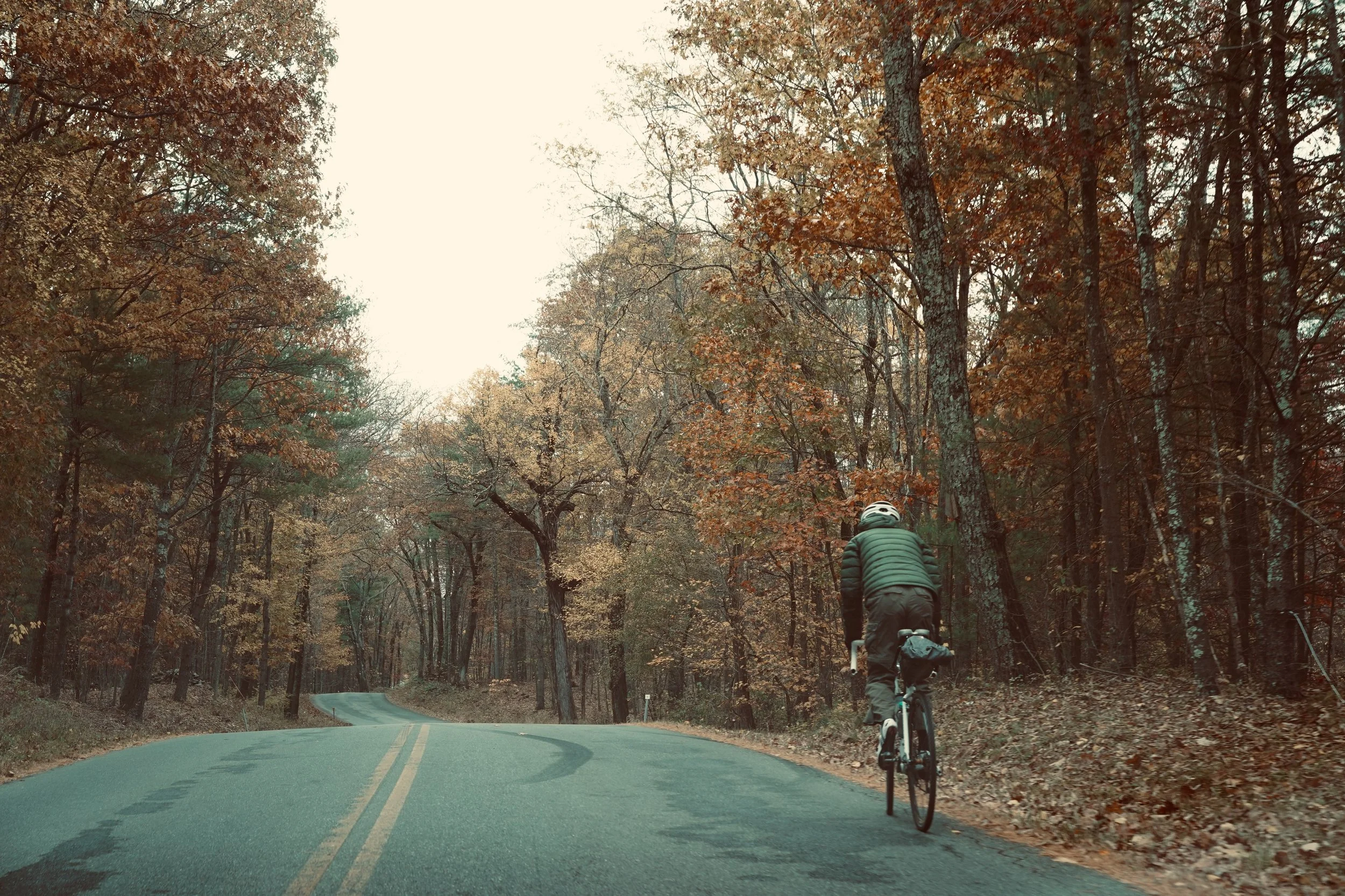 A person riding a bicycle on a winding road through a forest with autumn-colored trees.