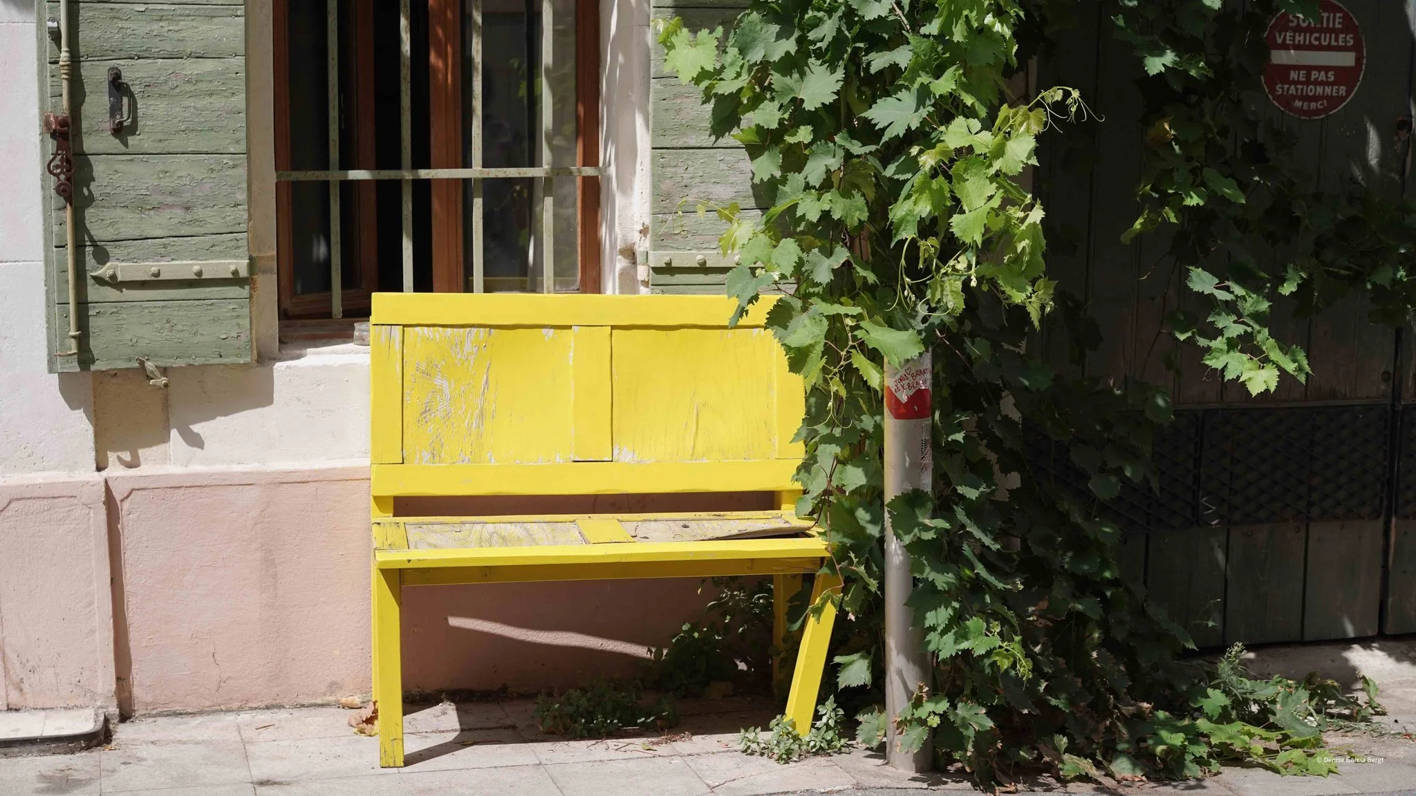 Yellow wooden bench next to a green window with shutters, partially covered by a climbing vine, near a metal pole with a red and white sign.