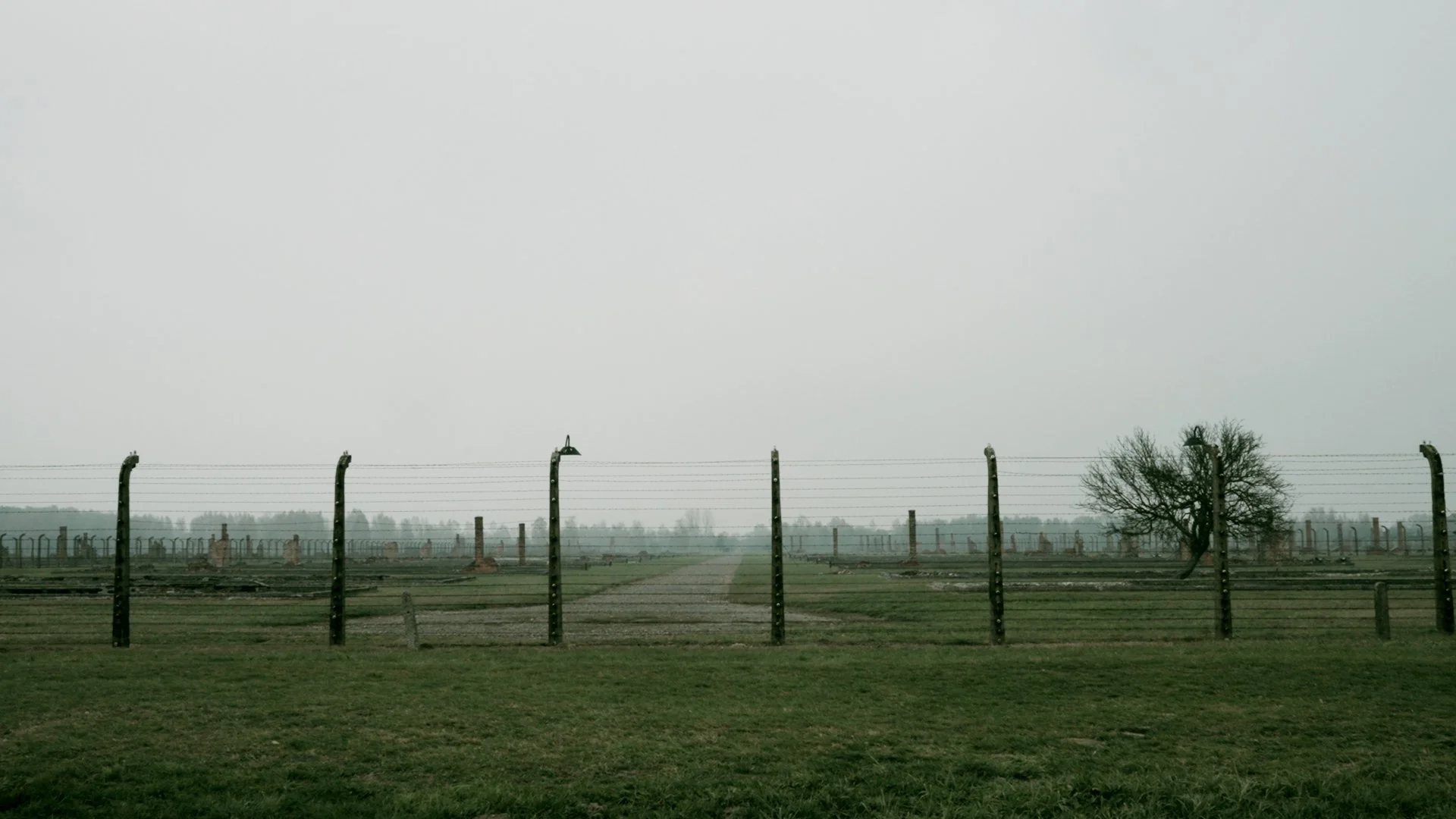 SELECTS DENISE AUSCHWITZ.00_00_04_22.Still006.jpg