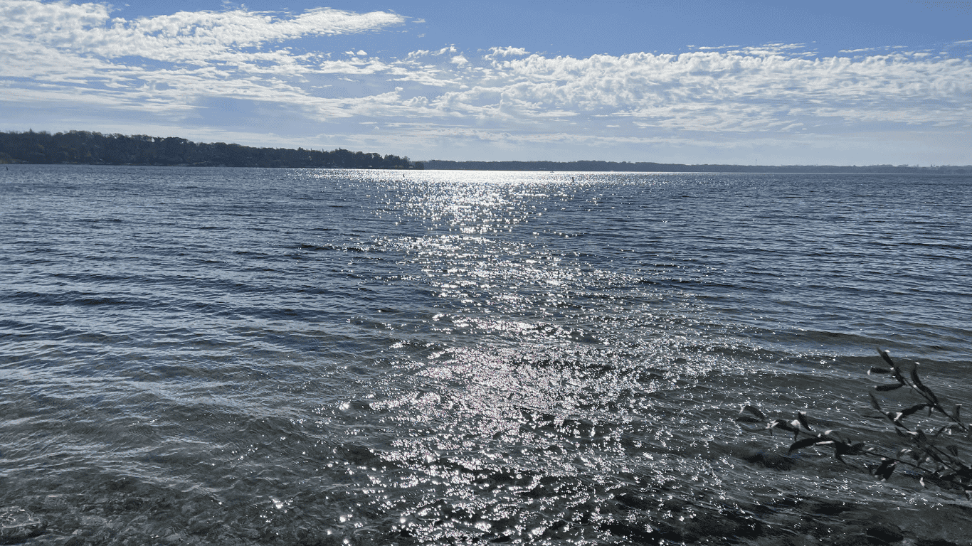 Whalen Marketing Lake Geneva