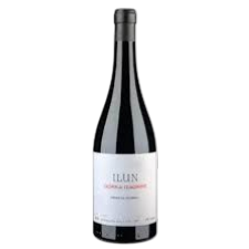 Вино, бяло, GORKA IZAGIRRE ILUN BY 75cl Алкохол:13.5% (16.36 € / 31.99 лв.)