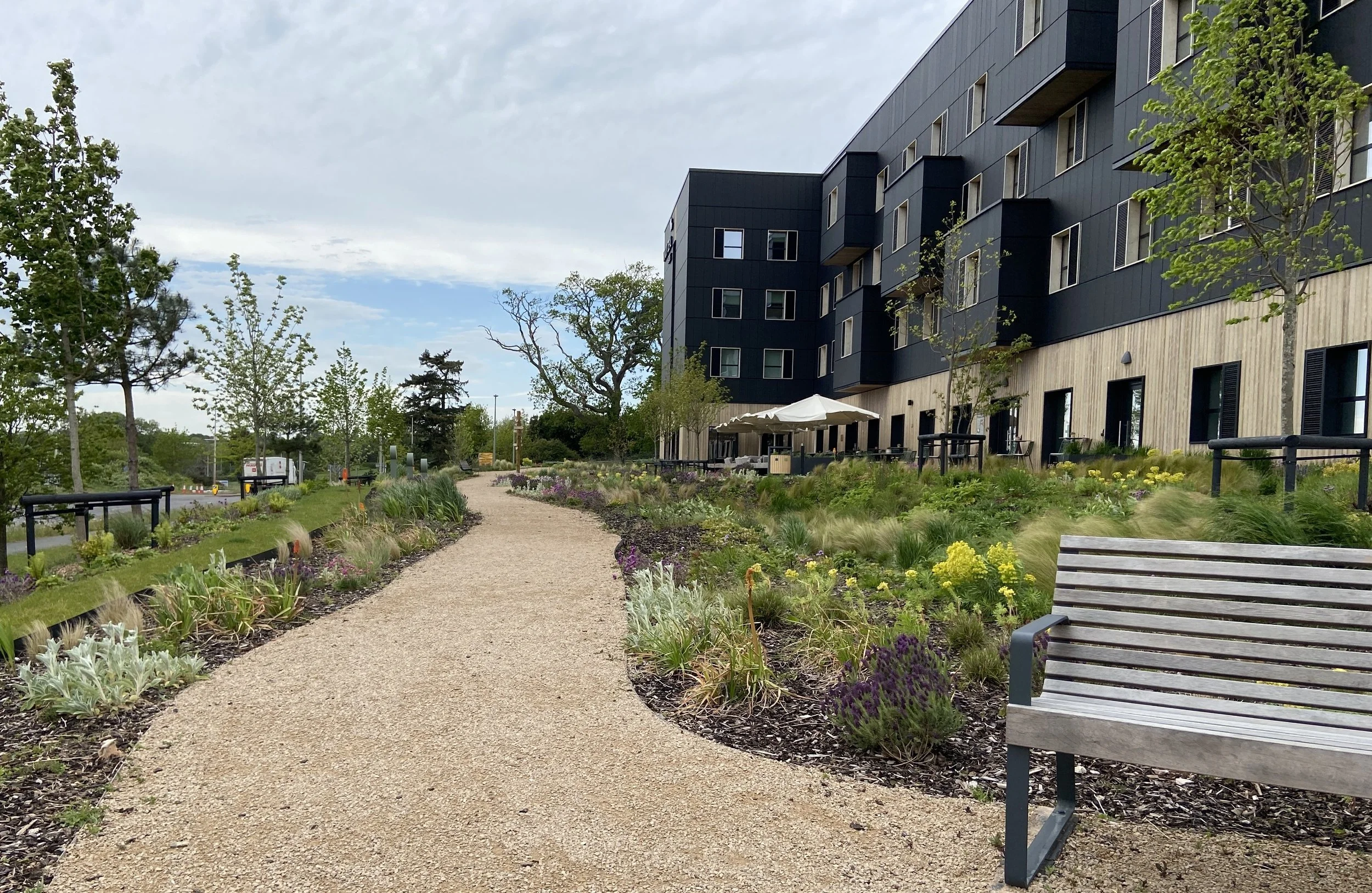 Zeal Hotel terrace garden in early