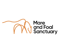 Screenshot 2025-10-20 154609.png