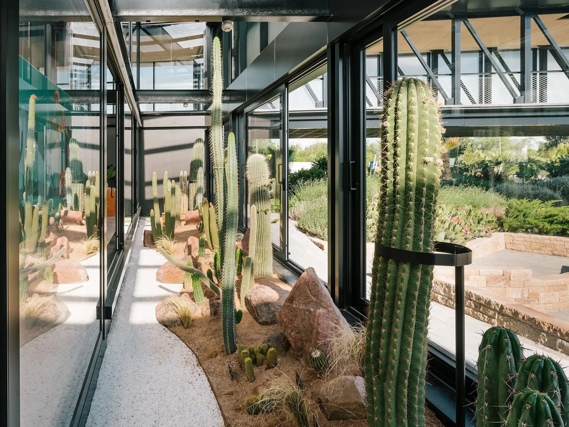 Interior de un invernadero con cactus y rocas, paredes de vidrio y estructura metálica, con vista a un jardín exterior.