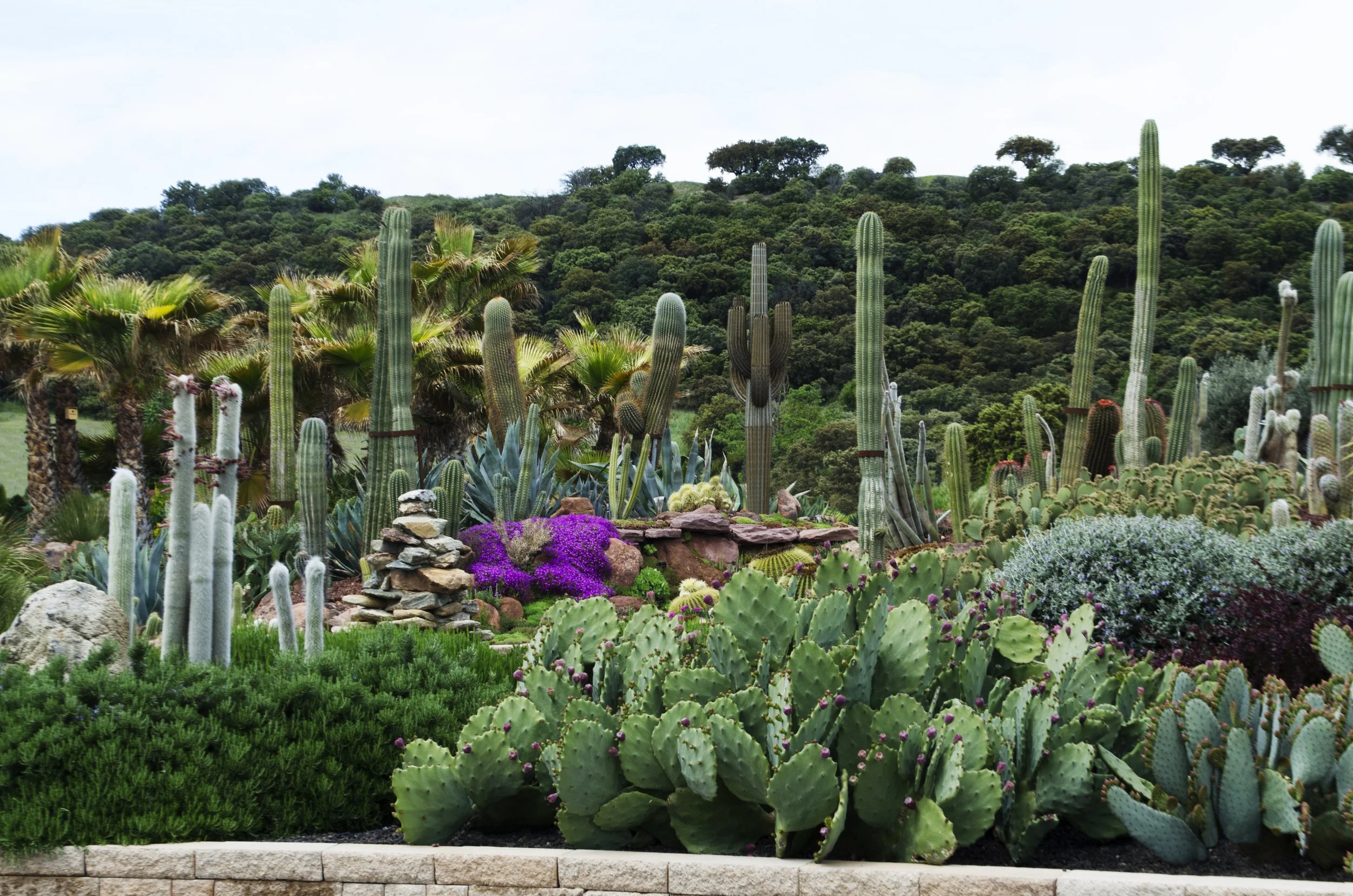 Jardines contra la desertificación