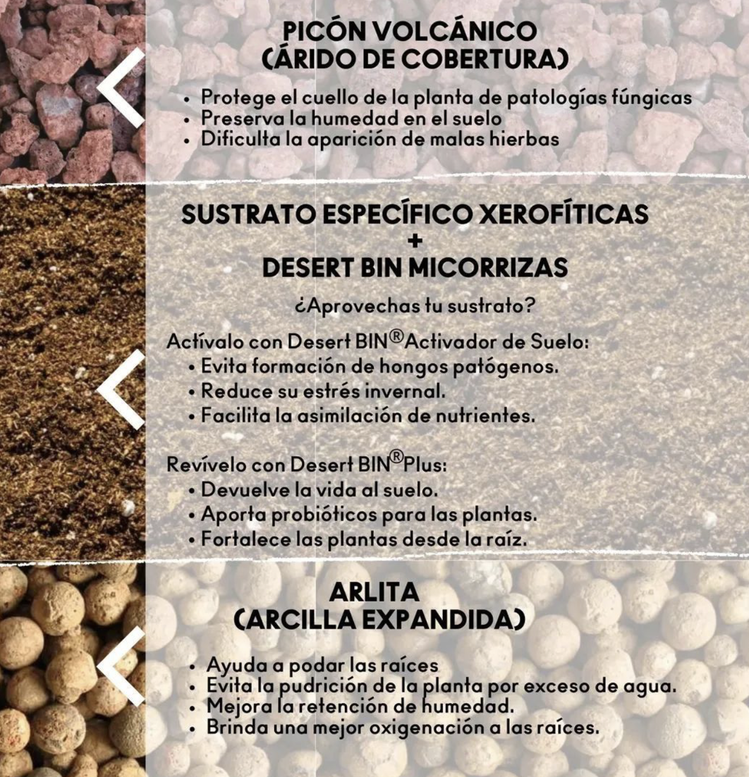 Sustrato para cactus