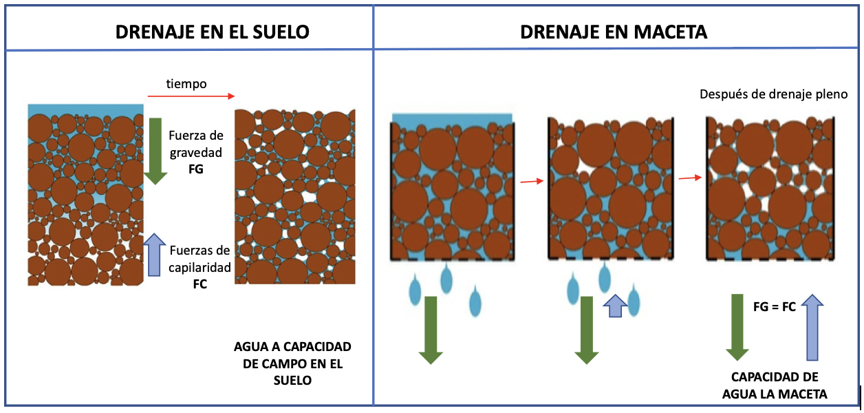 Drenaje en el suelo