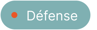 Bouton indiquant 'Défense' avec un point rouge.