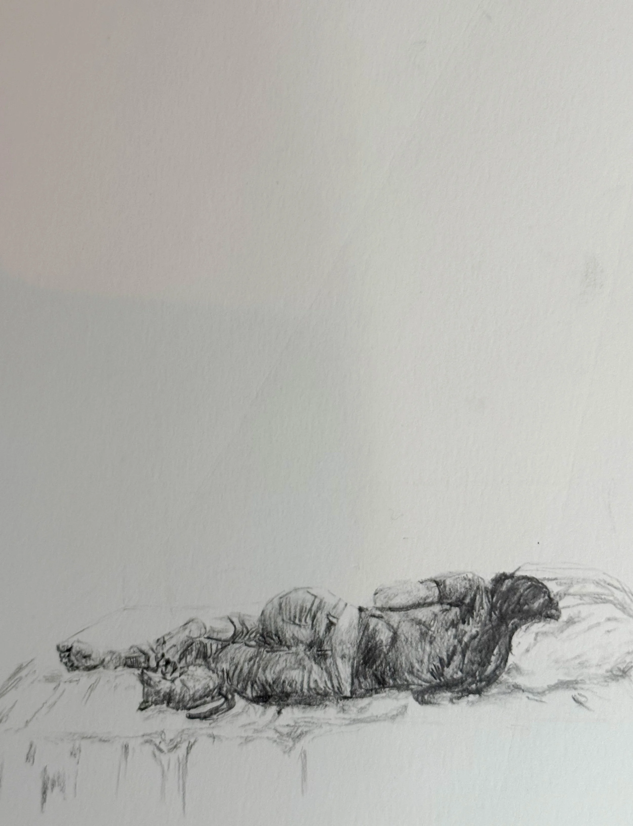 A black and white drawing of a cat lying down with its eyes closed on a textured surface, possibly a table or floor.