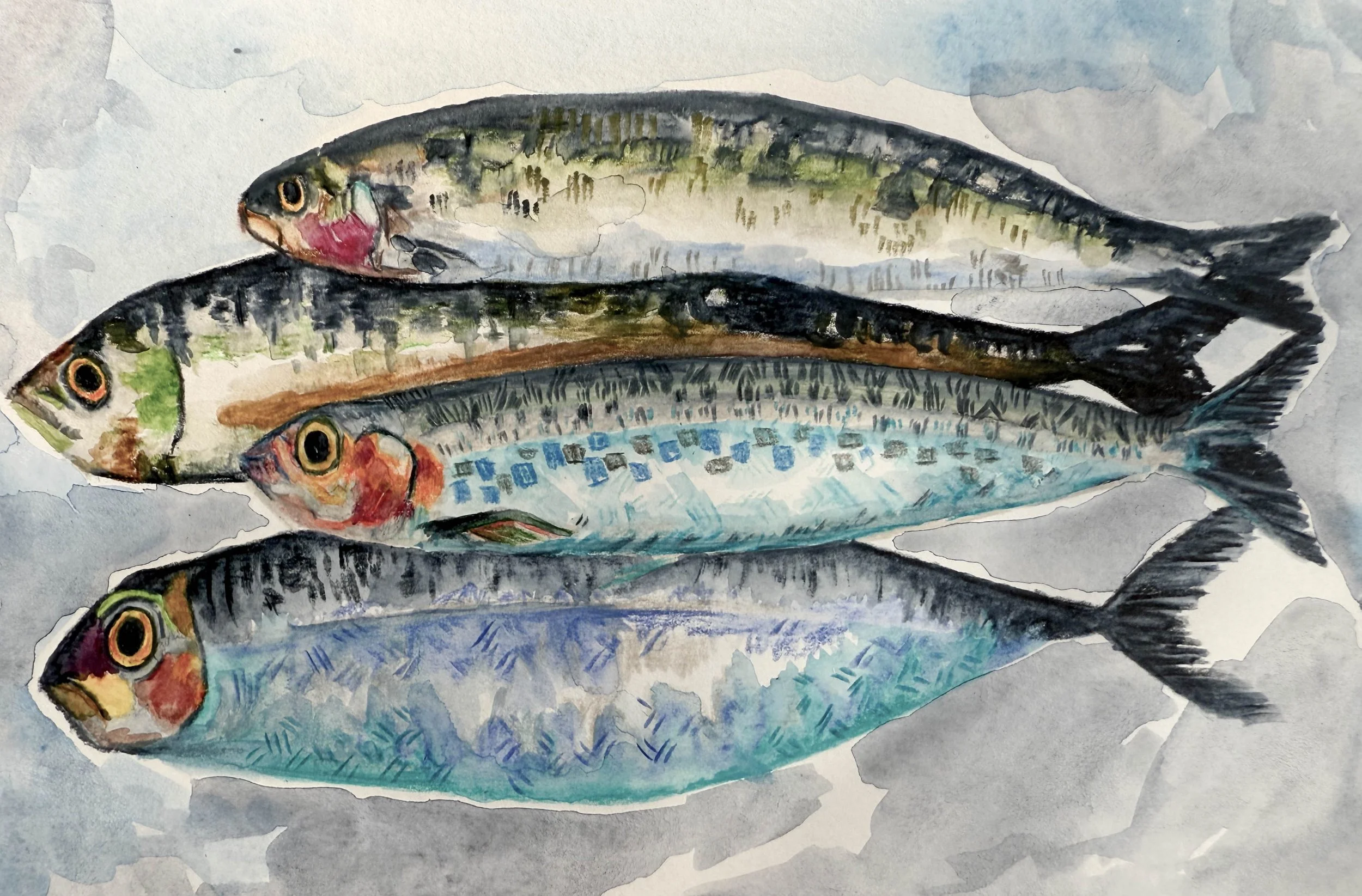 Watercolor painting of several fish layered on top of each other with detailed scales and distinct colors.
