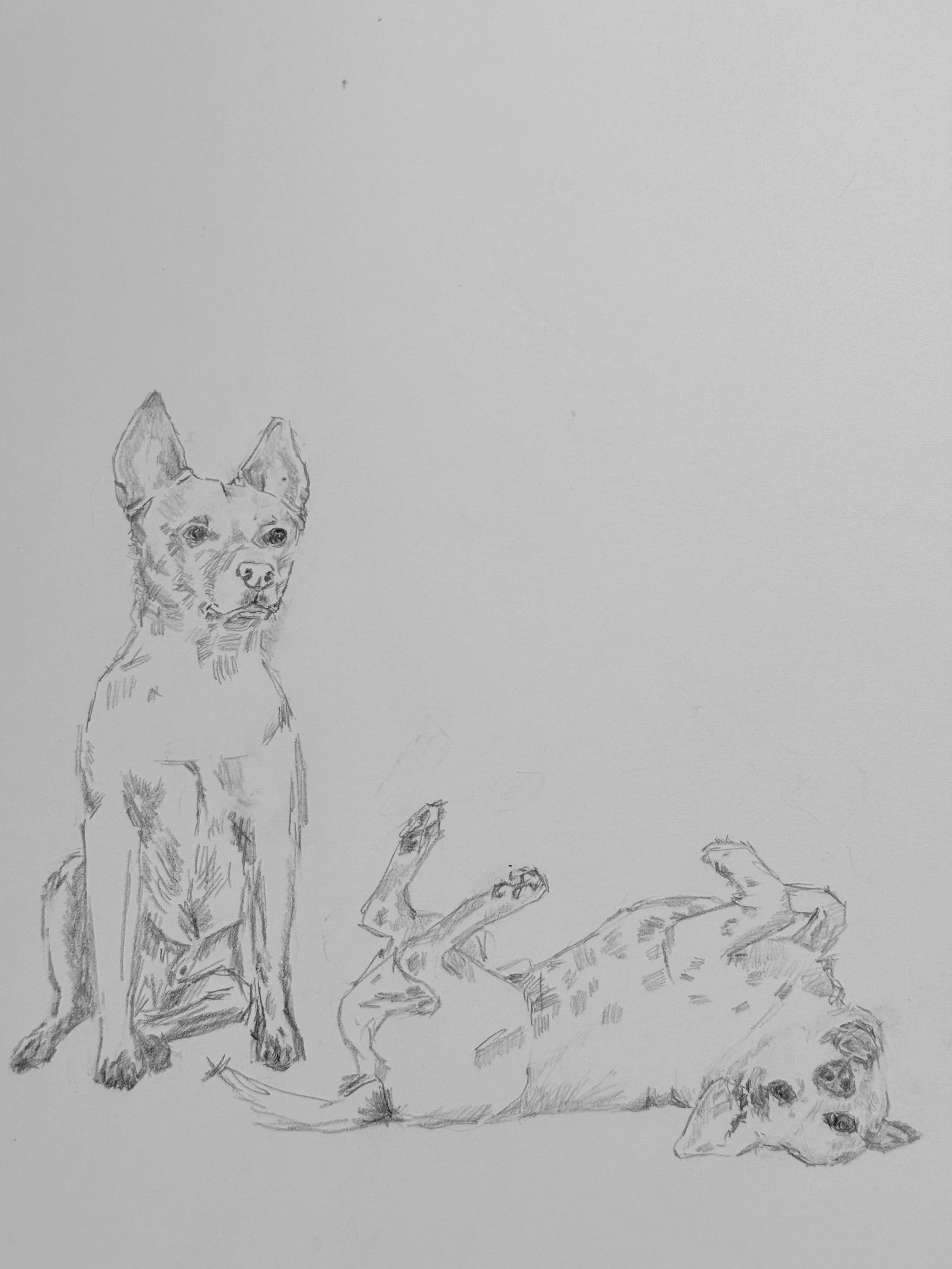 A sketch of a dog sitting upright with two other dogs lying down, one on its back and one with its head resting on the ground, all on a flat surface.