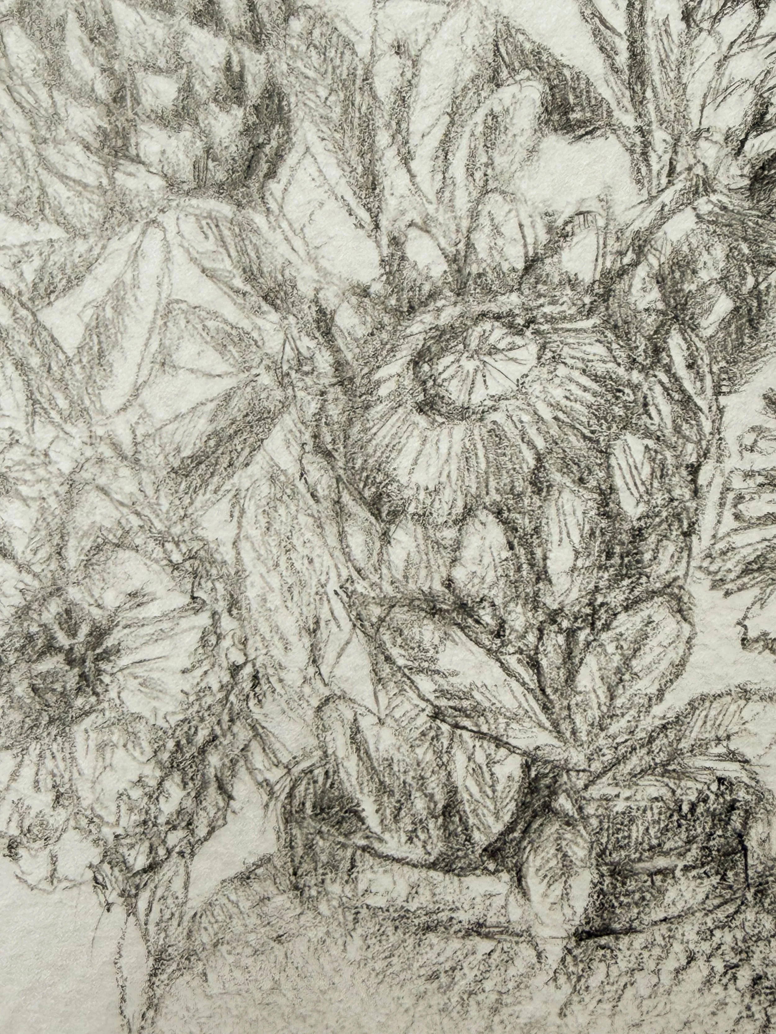 A detailed pencil sketch of a bouquet of flowers with various shapes and shading.
