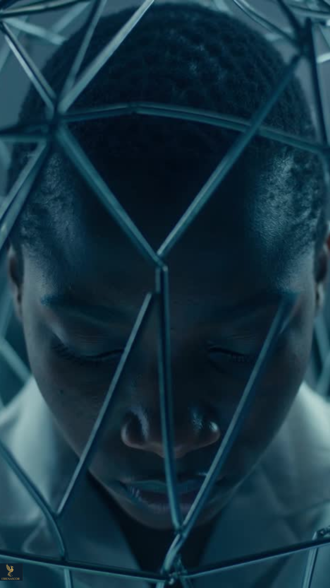 Vision No.01: THE DREAM CAGE Bundle