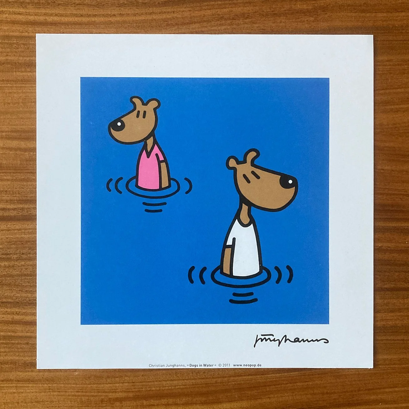 dogs-in-water.jpg
