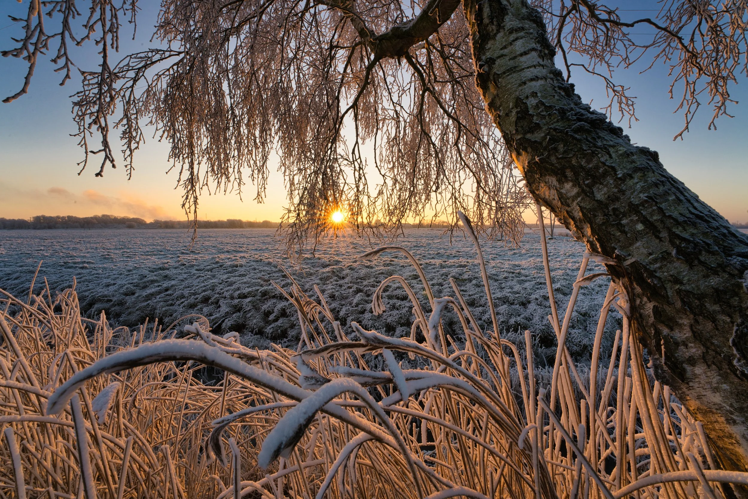 Die Marsch im Morgenfrost