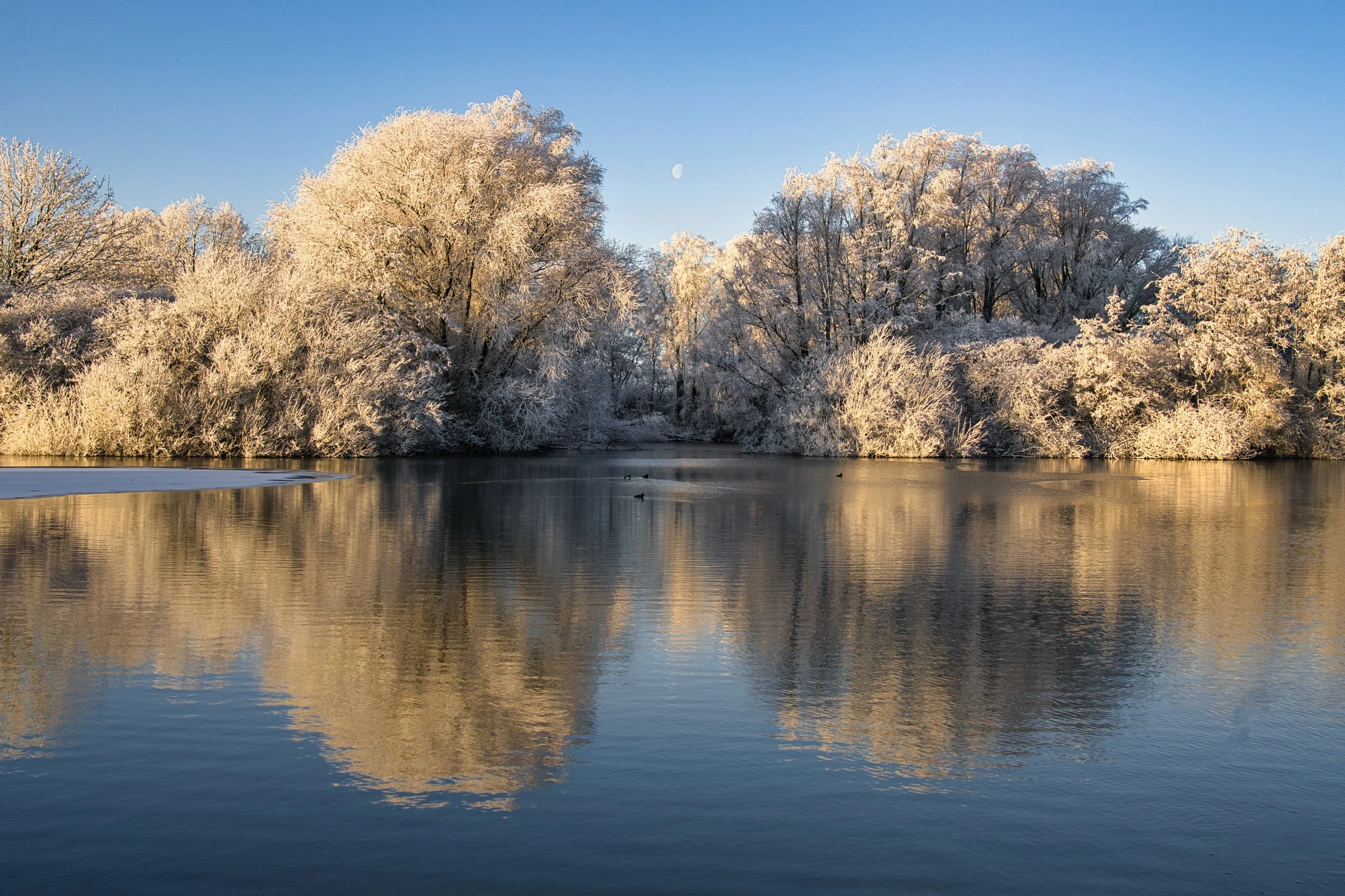Seenpark, Nordenham