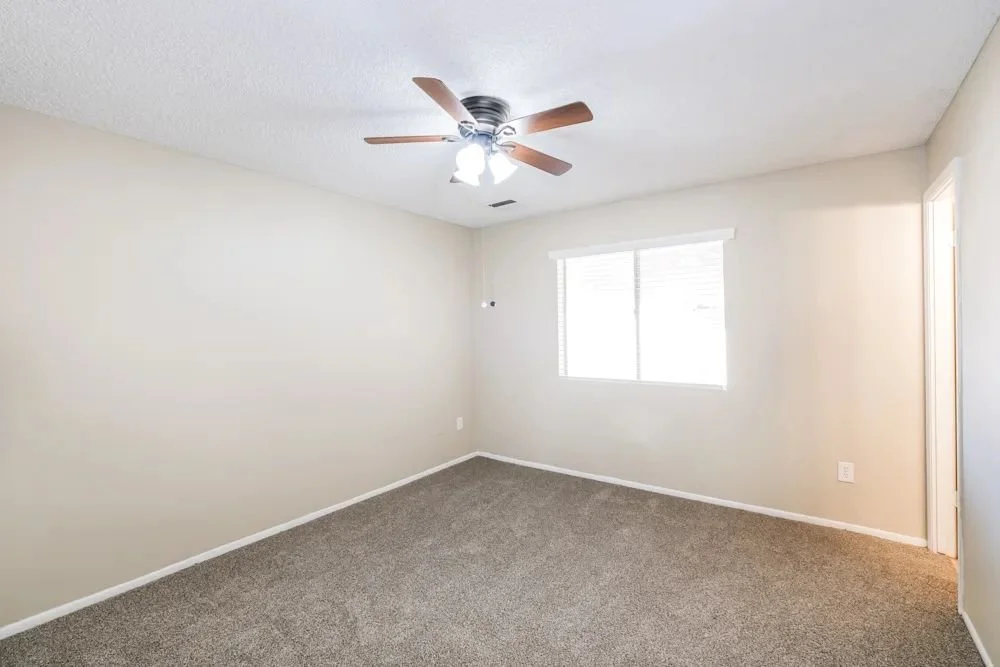 WhatsApp Image 2026-01-10 at 09.51.54 (1).jpeg