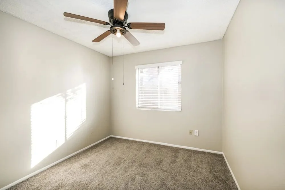 WhatsApp Image 2026-01-10 at 09.51.53 (6).jpeg